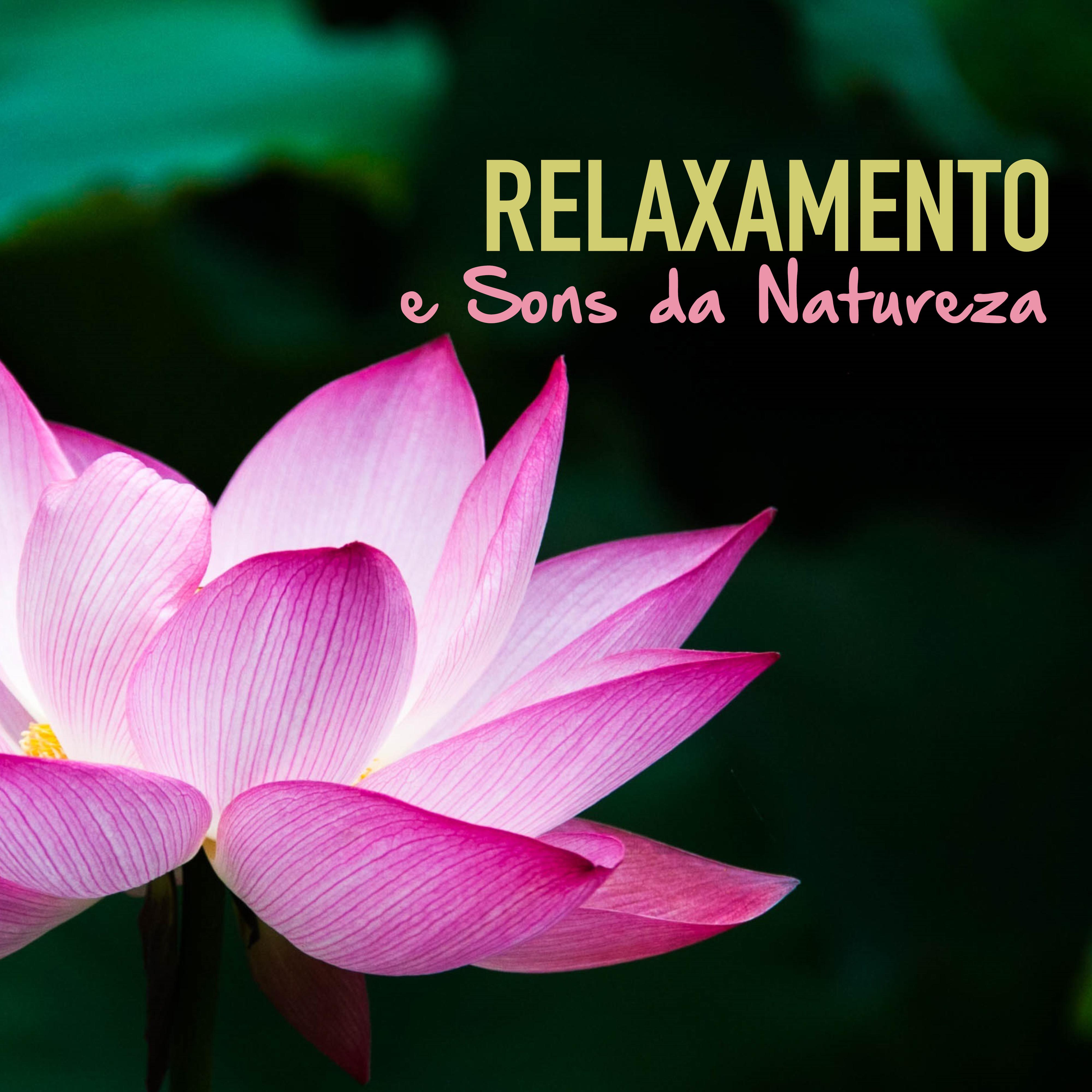 Mu sica Piano con Sons da Natureza