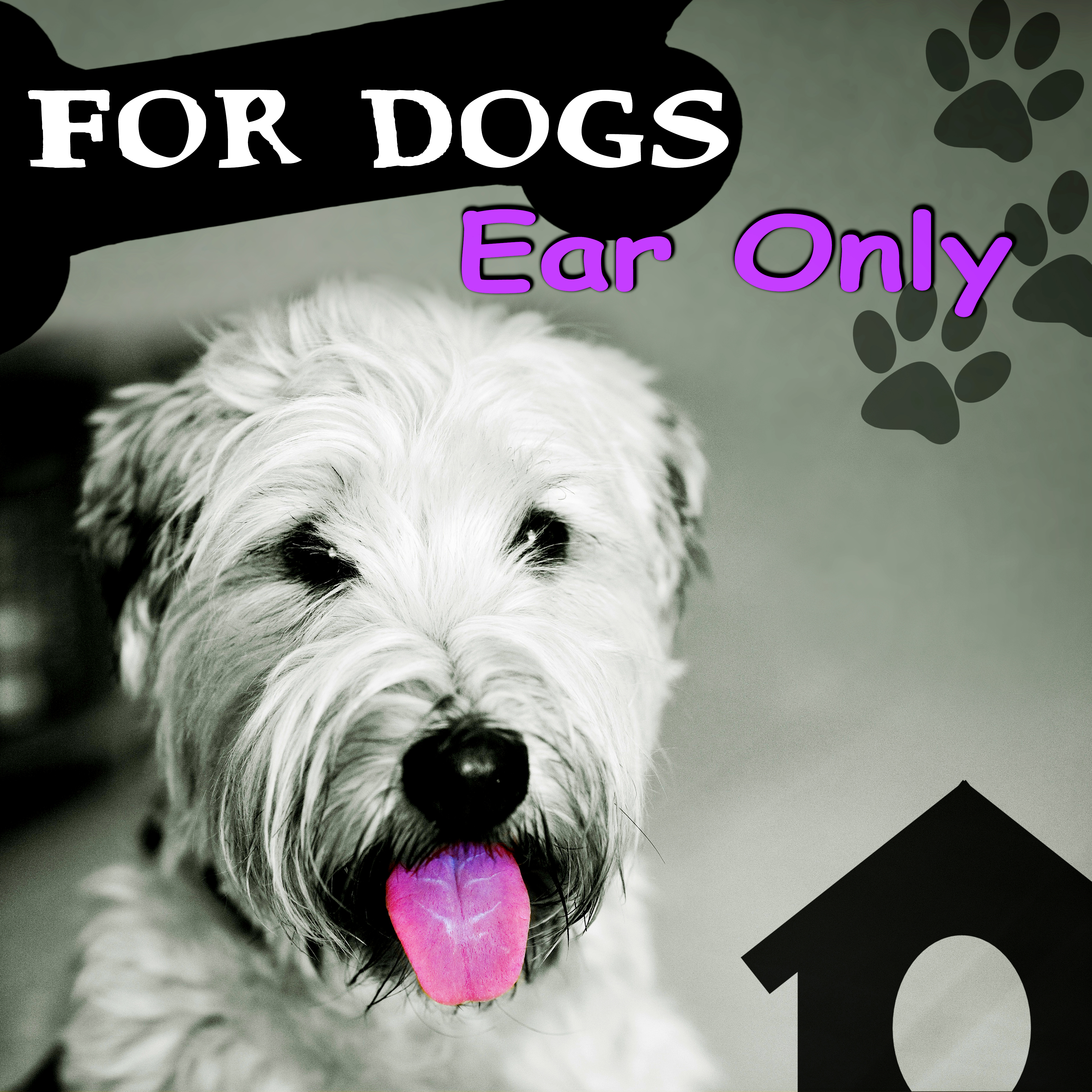 For Dogs Ear Only  Calm Down Your Animal Companion, Music Therapy for Dogs, Sleep Aids, Pet Relaxation, Stress Relief