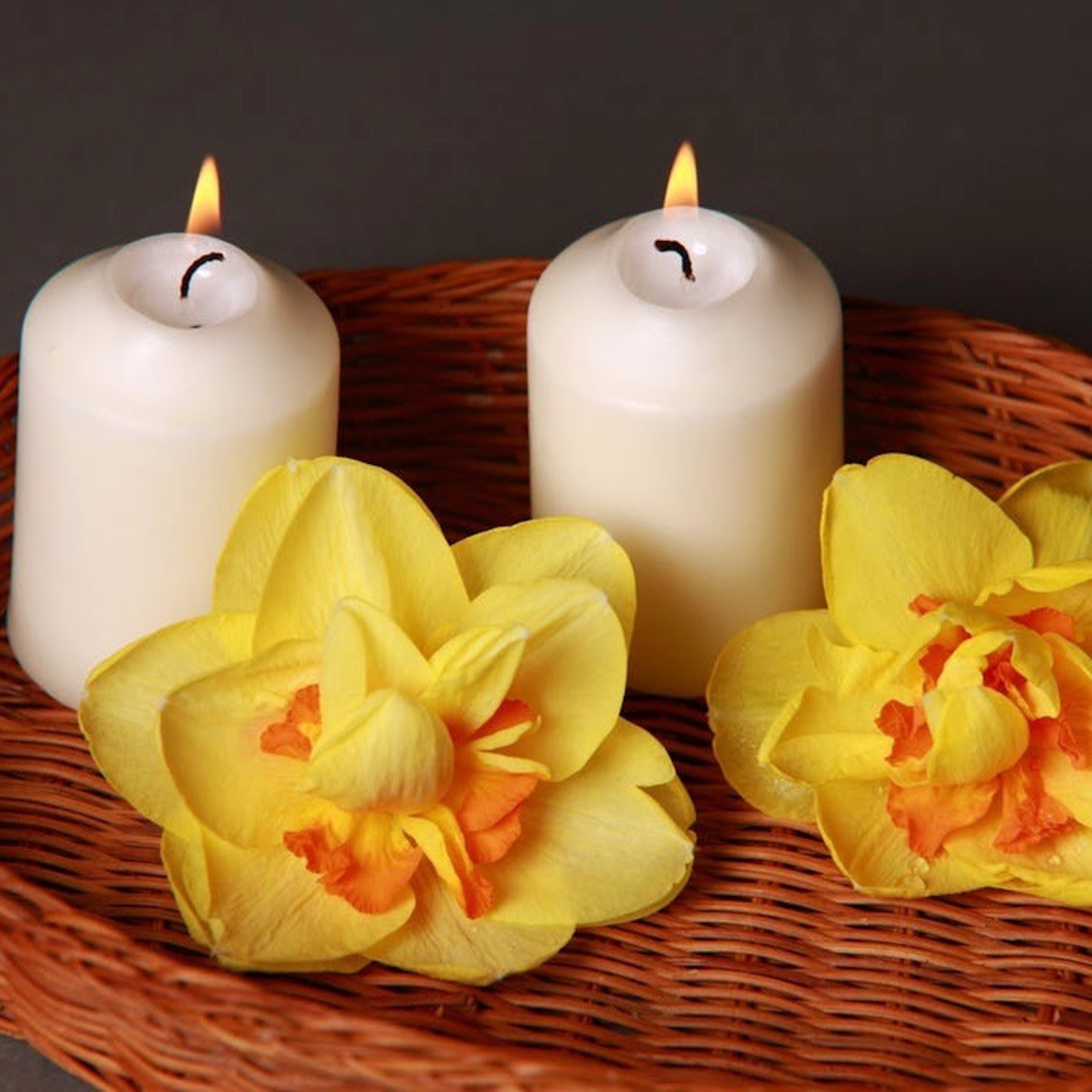 Background Music for Spas - Afternoon in the Forest, Peaceful Meditation for Mindfulness