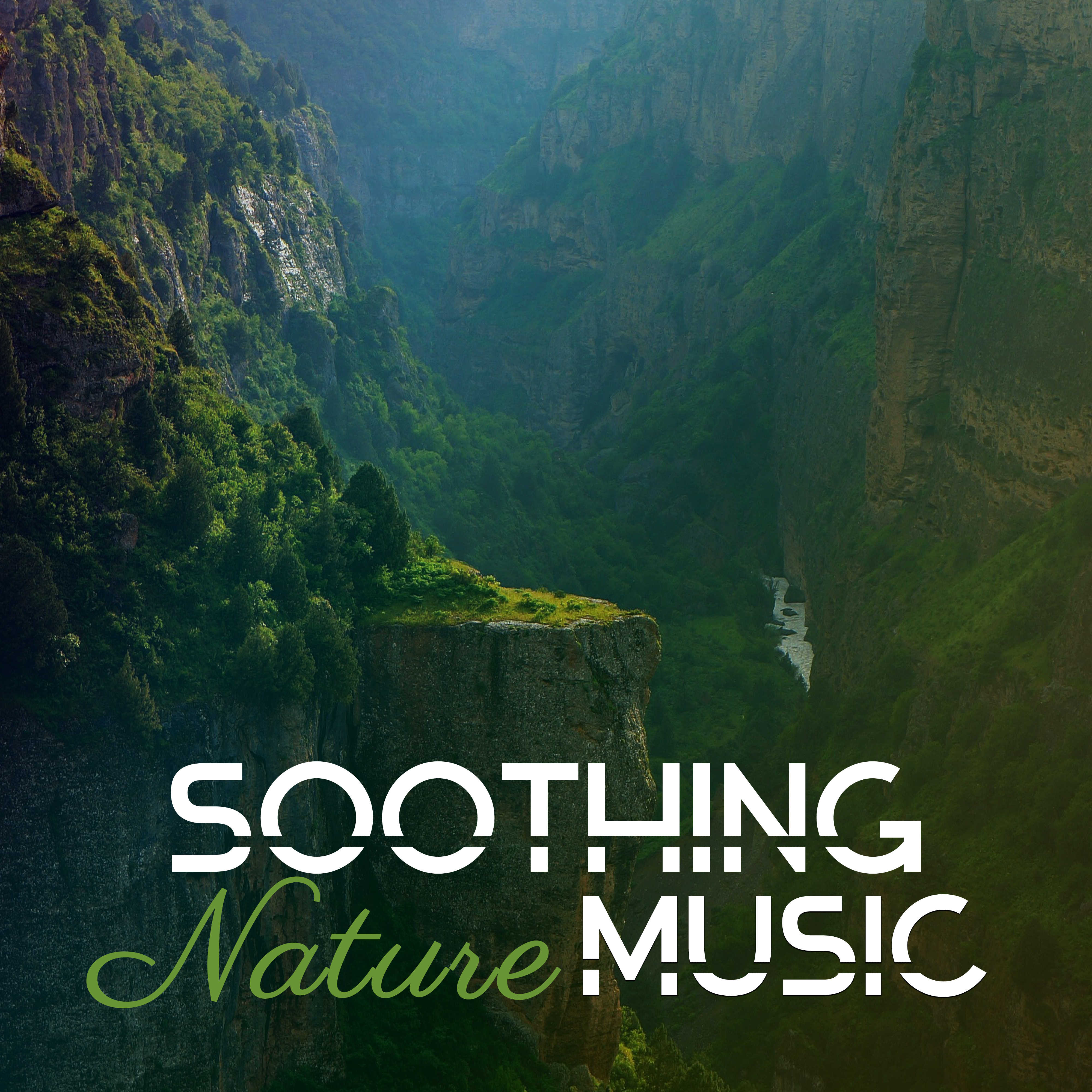 Soothing Nature Music  Relaxing Sounds to Calm Down, Easy Listening, New Age Music, No More Stress