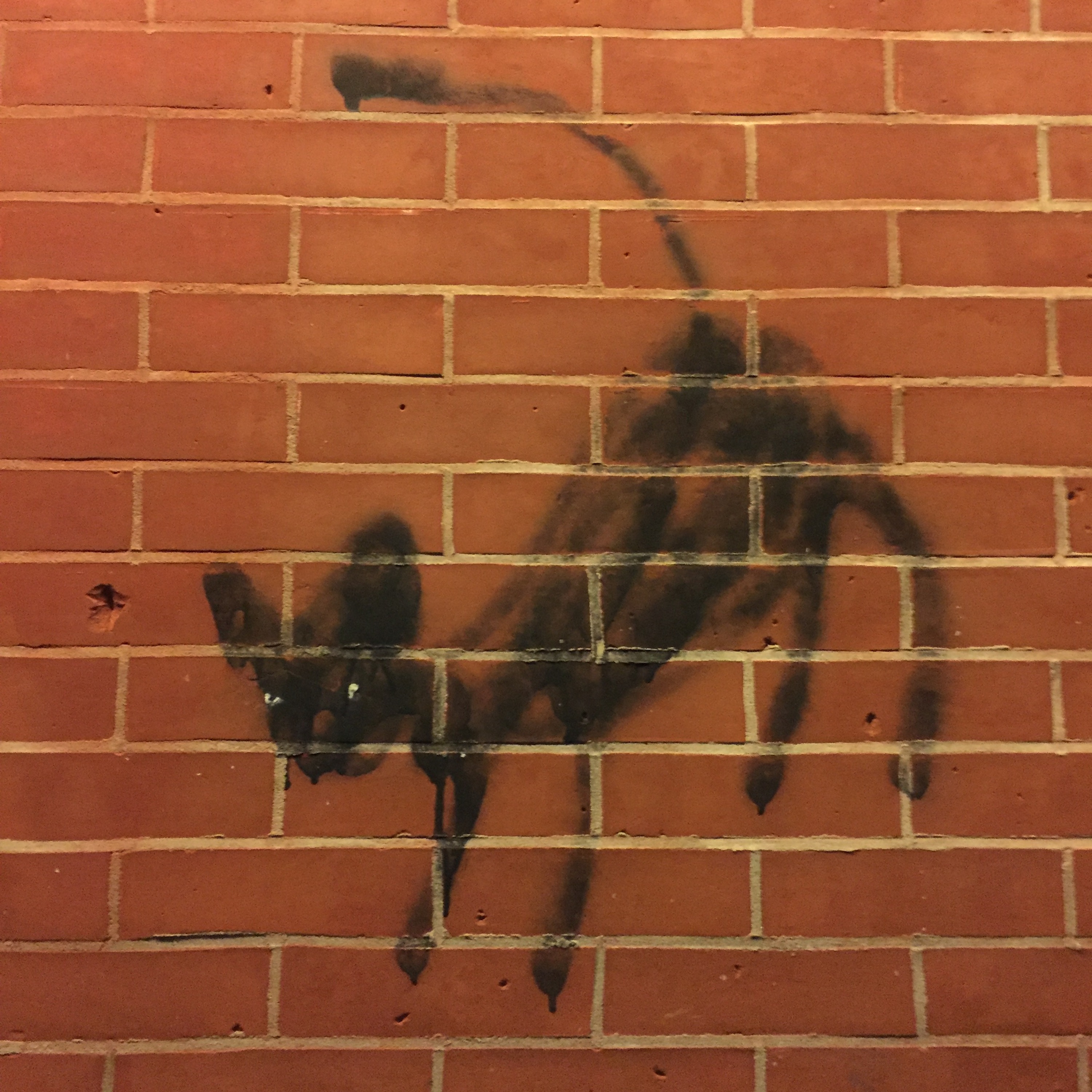 Wharf Cat Records 2016 Singles