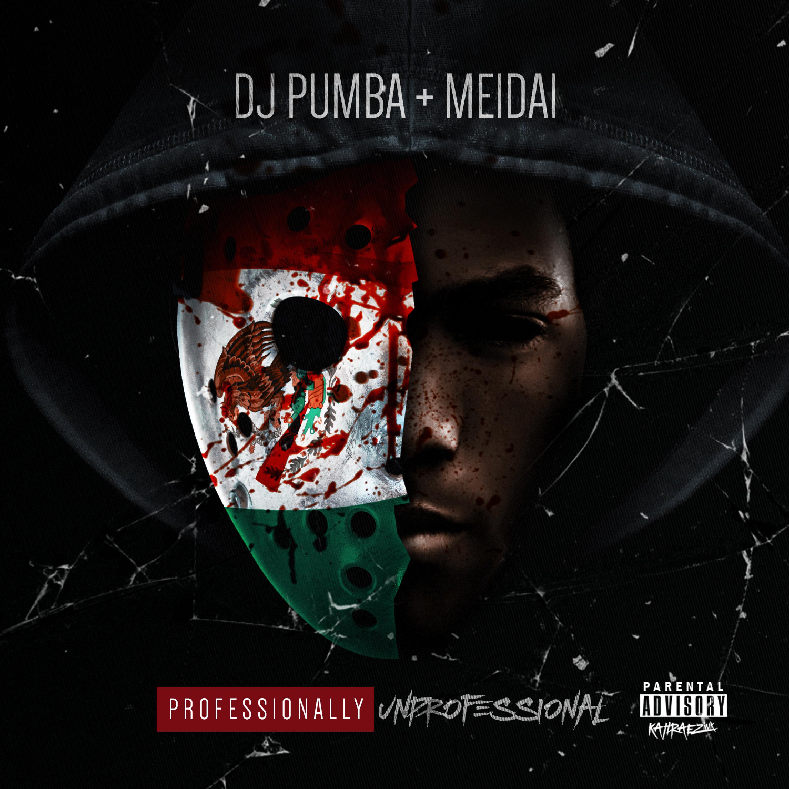 Professionally / Unprofessional - EP