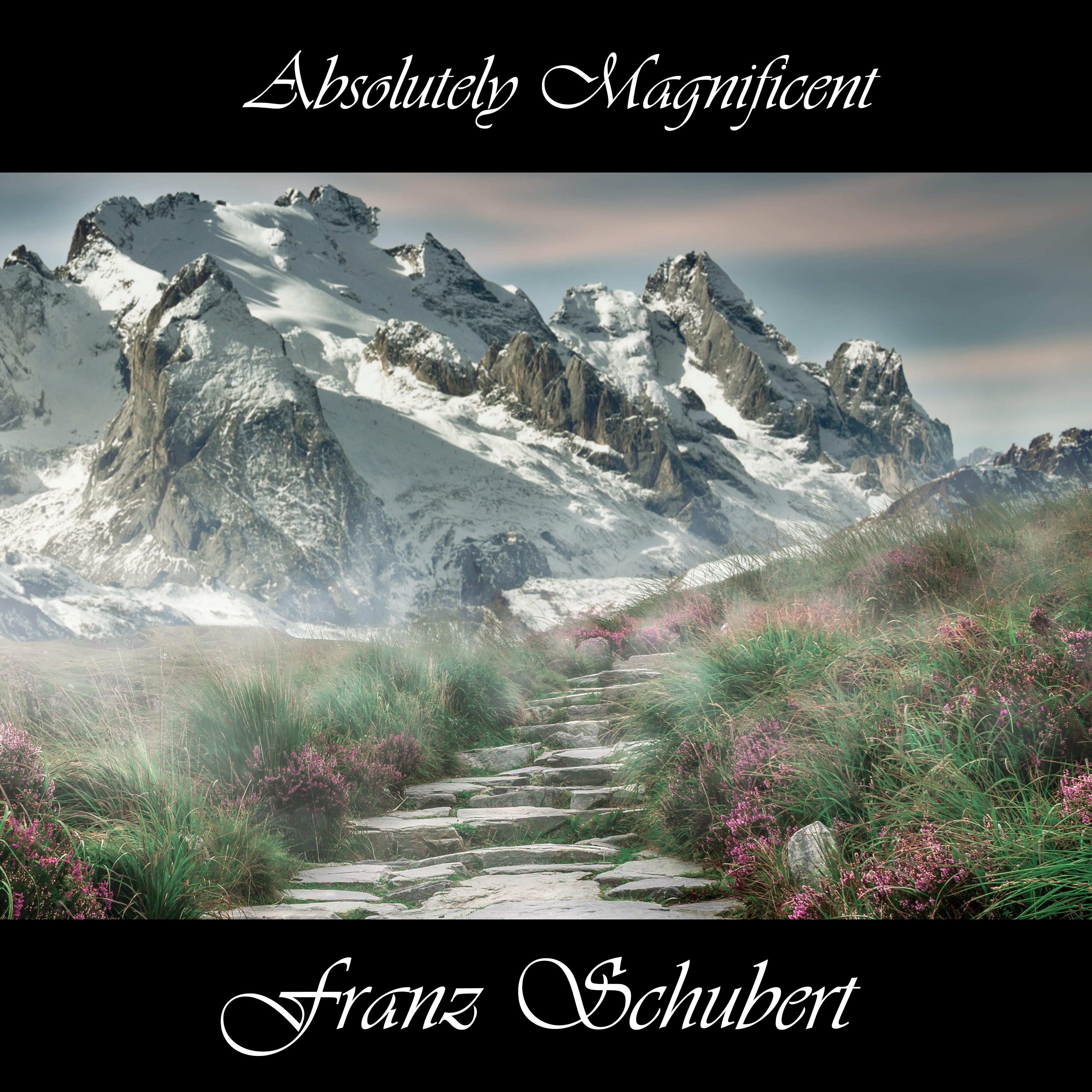 Absolutely Magnificent Franz Schubert