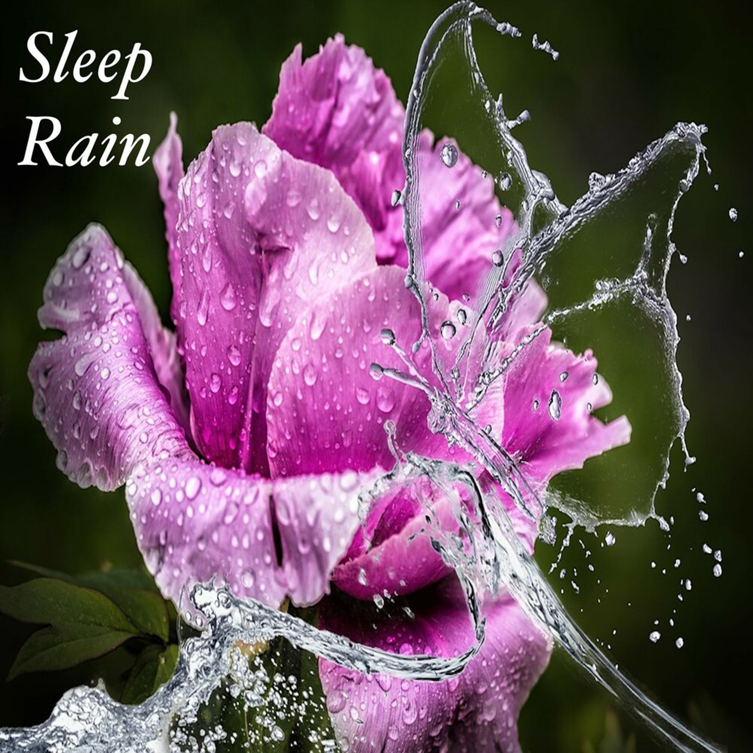 Sleep Rain: Loopable Rain Sounds for Sleep, Insomnia, Meditation, Zen, Yoga, Peaceful Nights