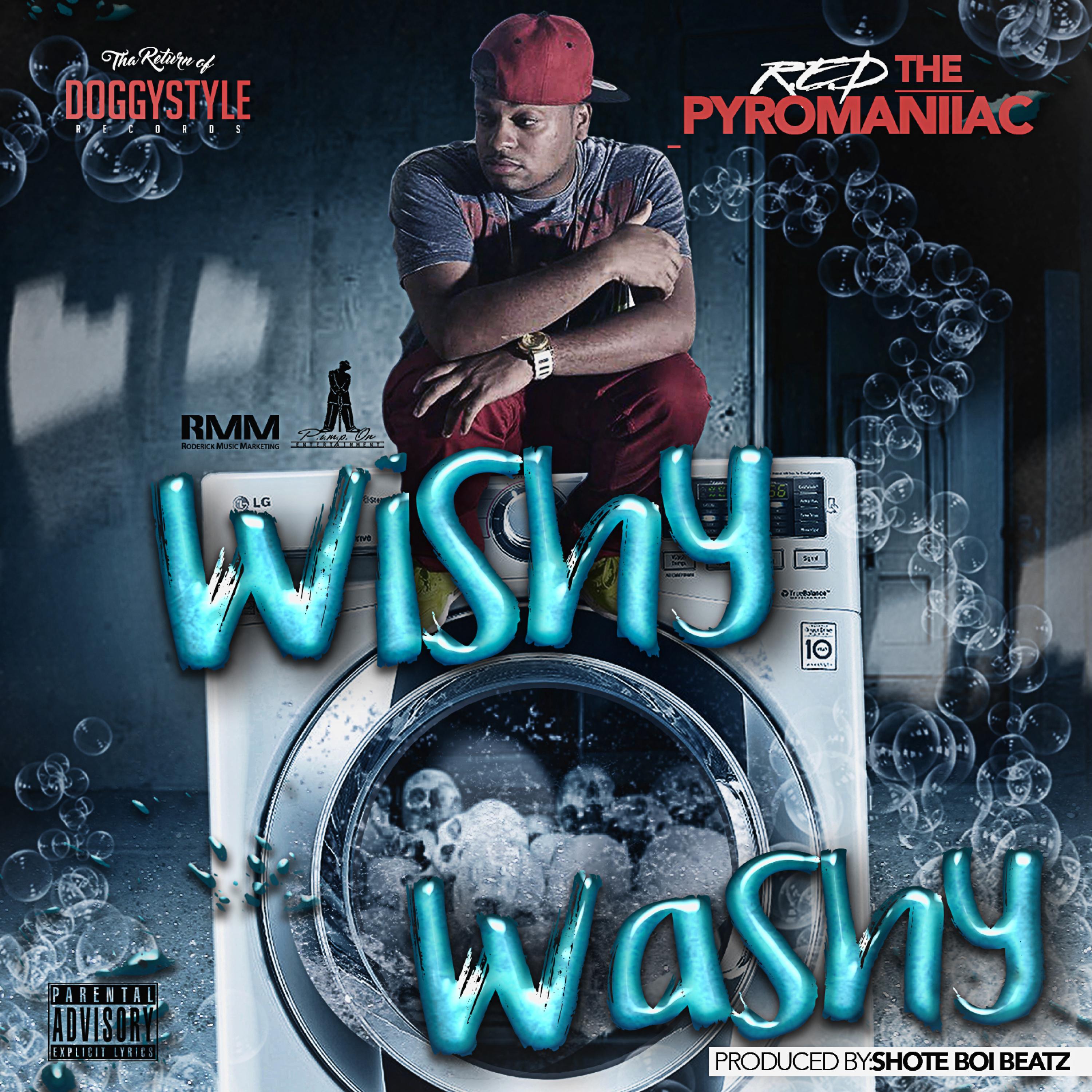 Wishy Washy - Single