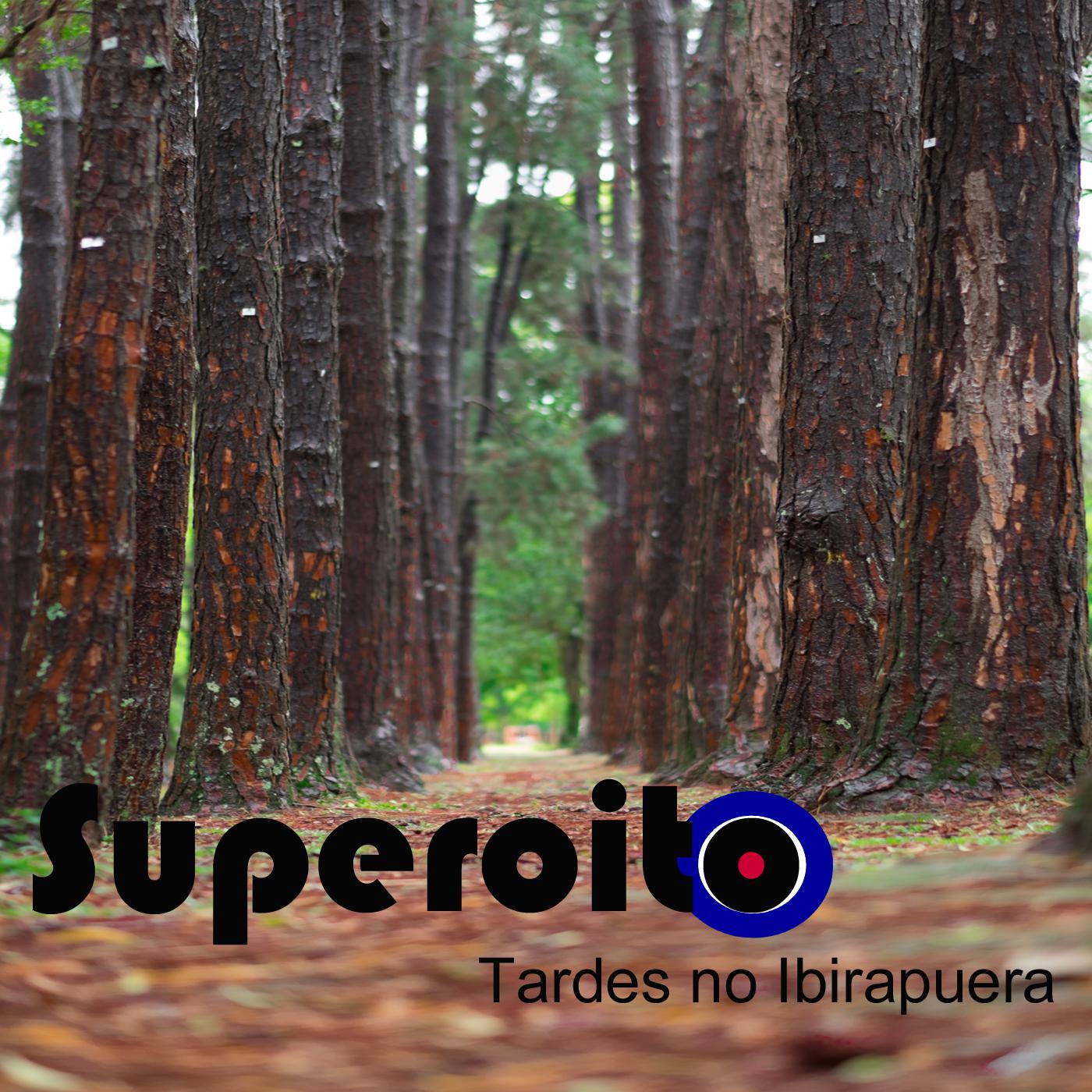 Tardes no Ibirapuera