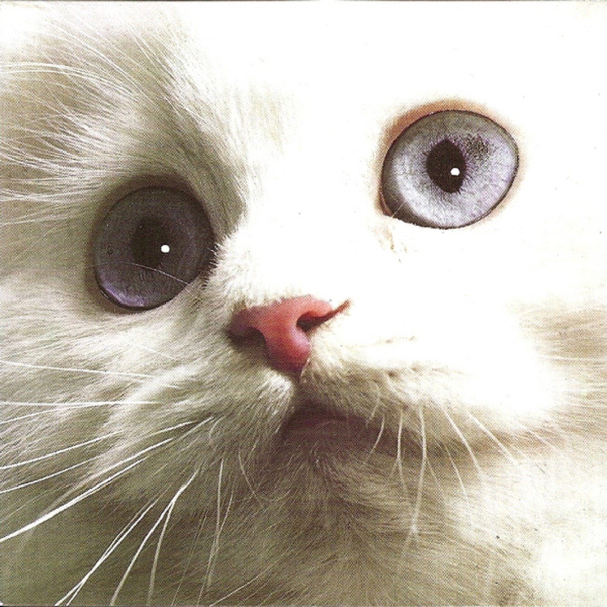 No More Too Long Ago