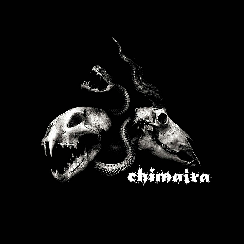 Chimaira Bonus Disc