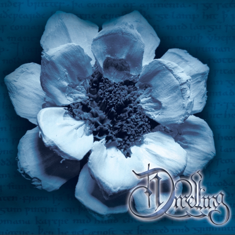 A Dan a Tecendo o Feiti o