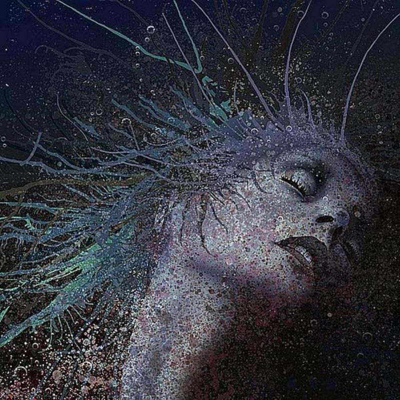 Dawn On The First Day