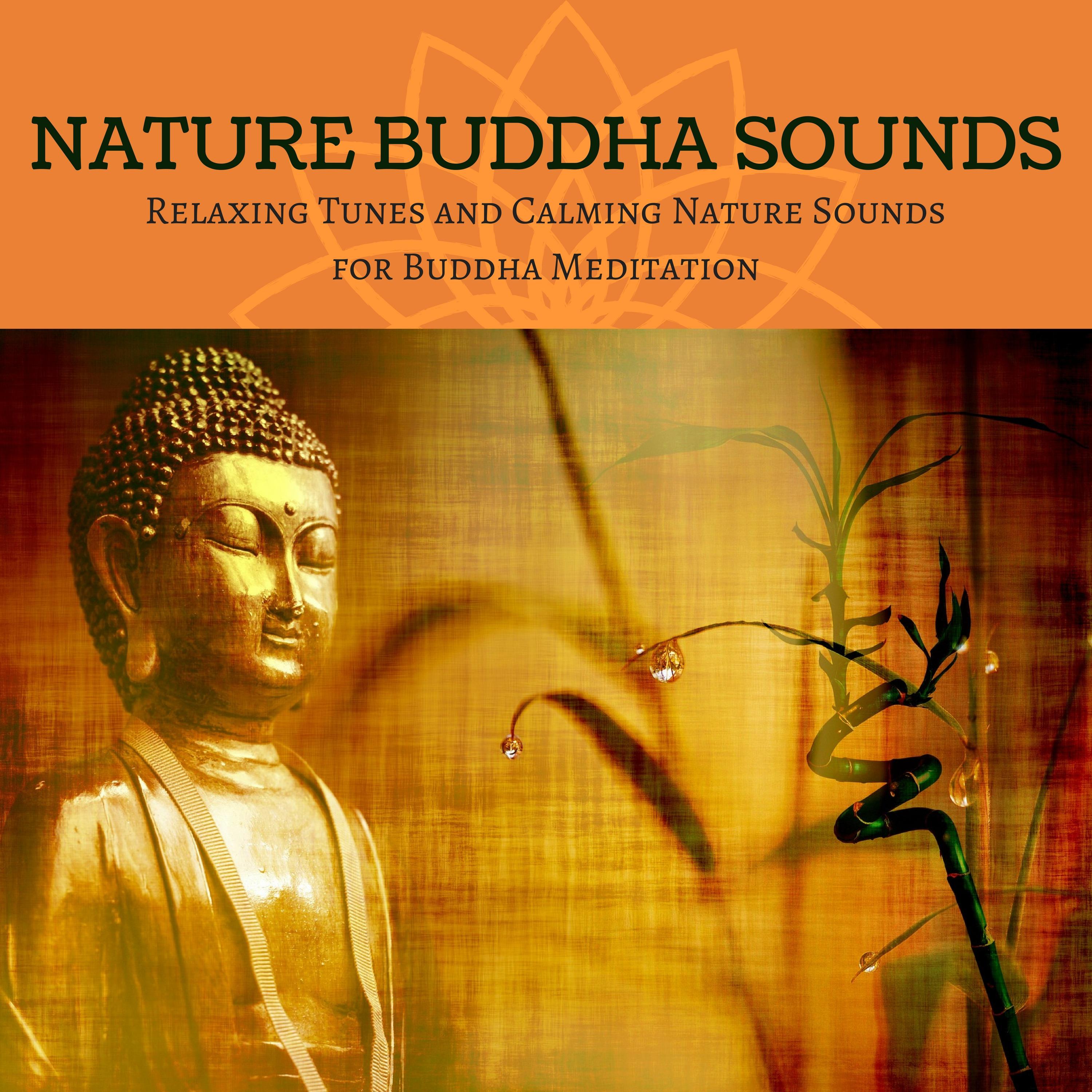 Very Best of Buddha Temple Music