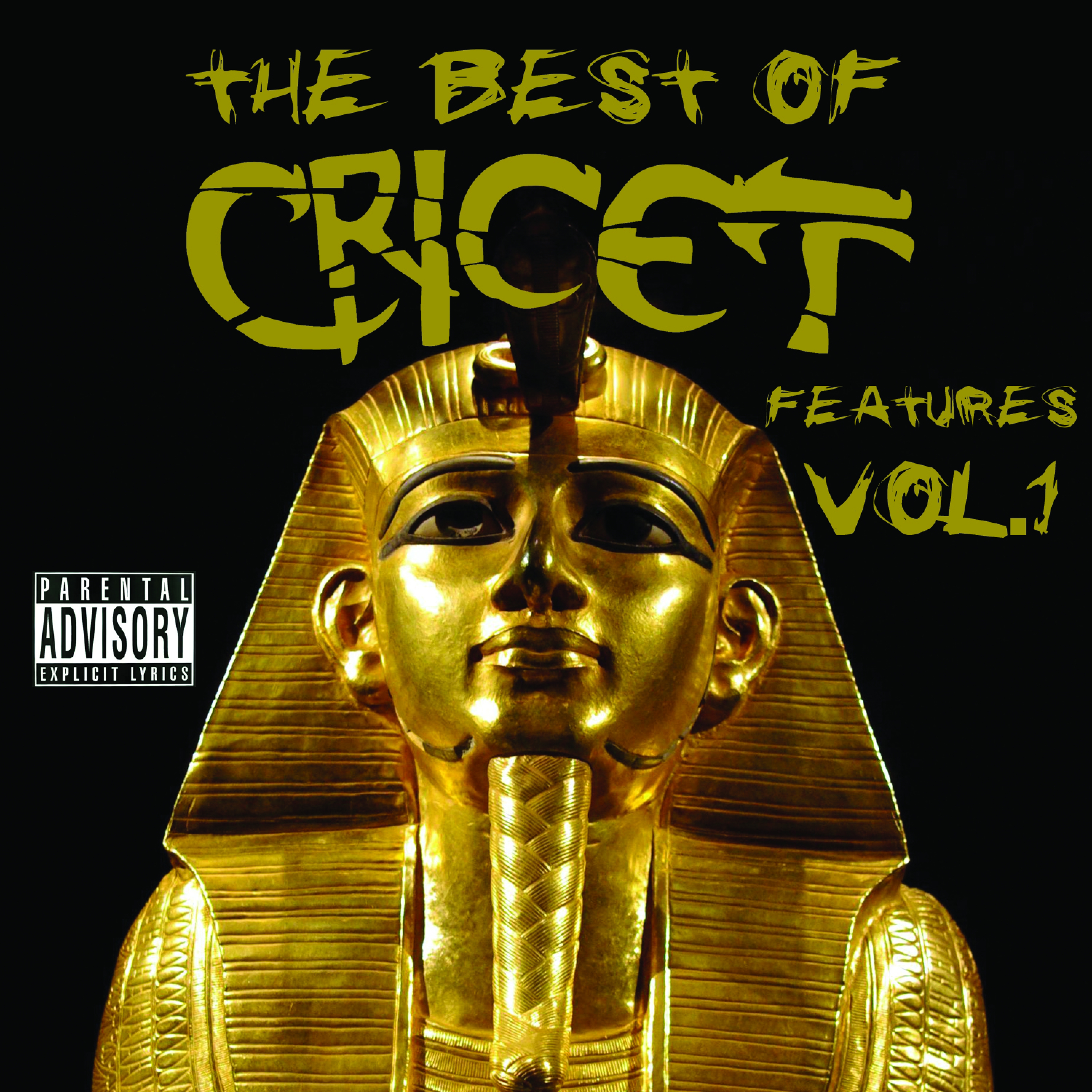 The Best of Cricet Features, Vol. 1