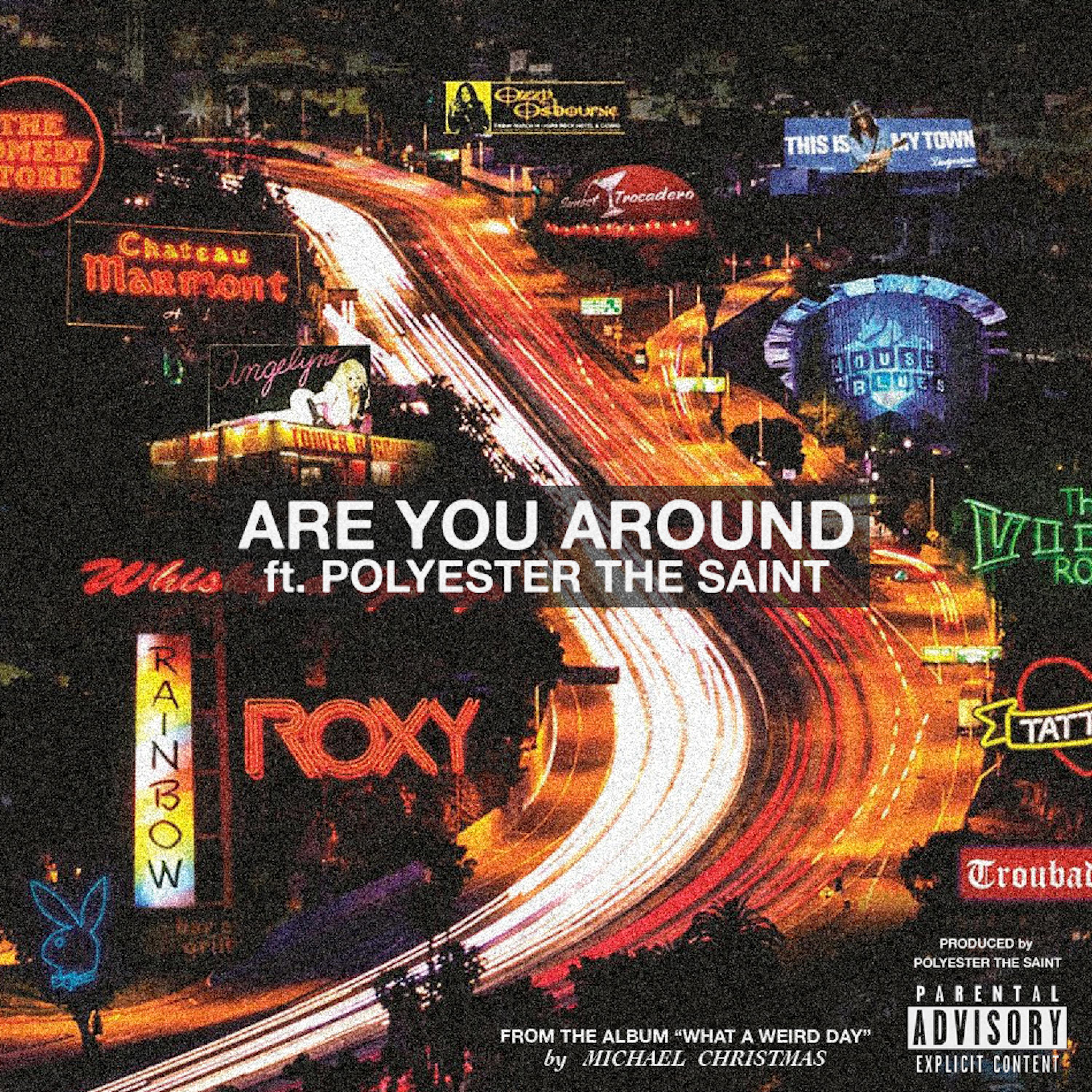 Are You Around (feat. Polyester The Saint) - Single