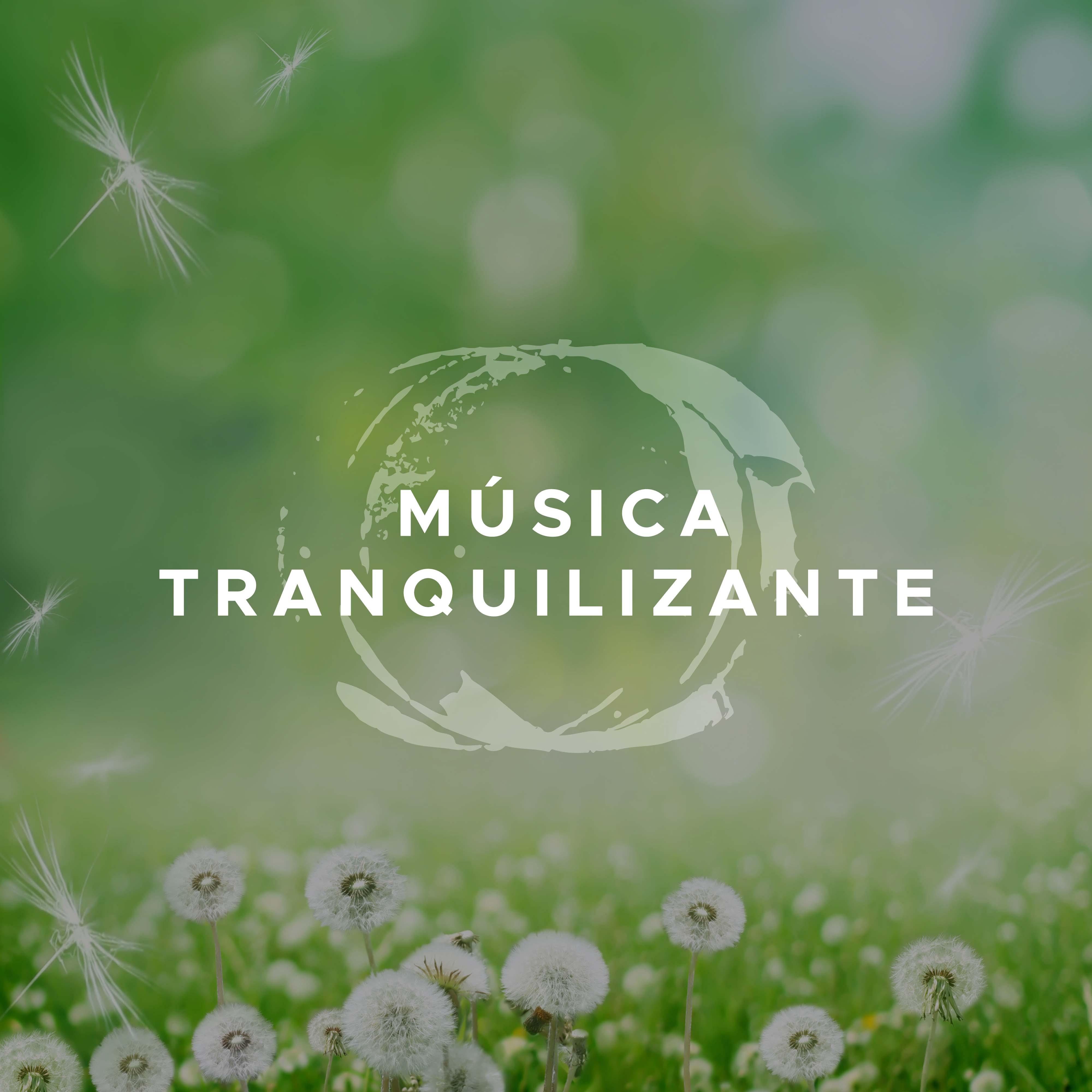 Musica Tranquilizante  Combatir Estre s Cro nico  de tu Vida y Ansiedad