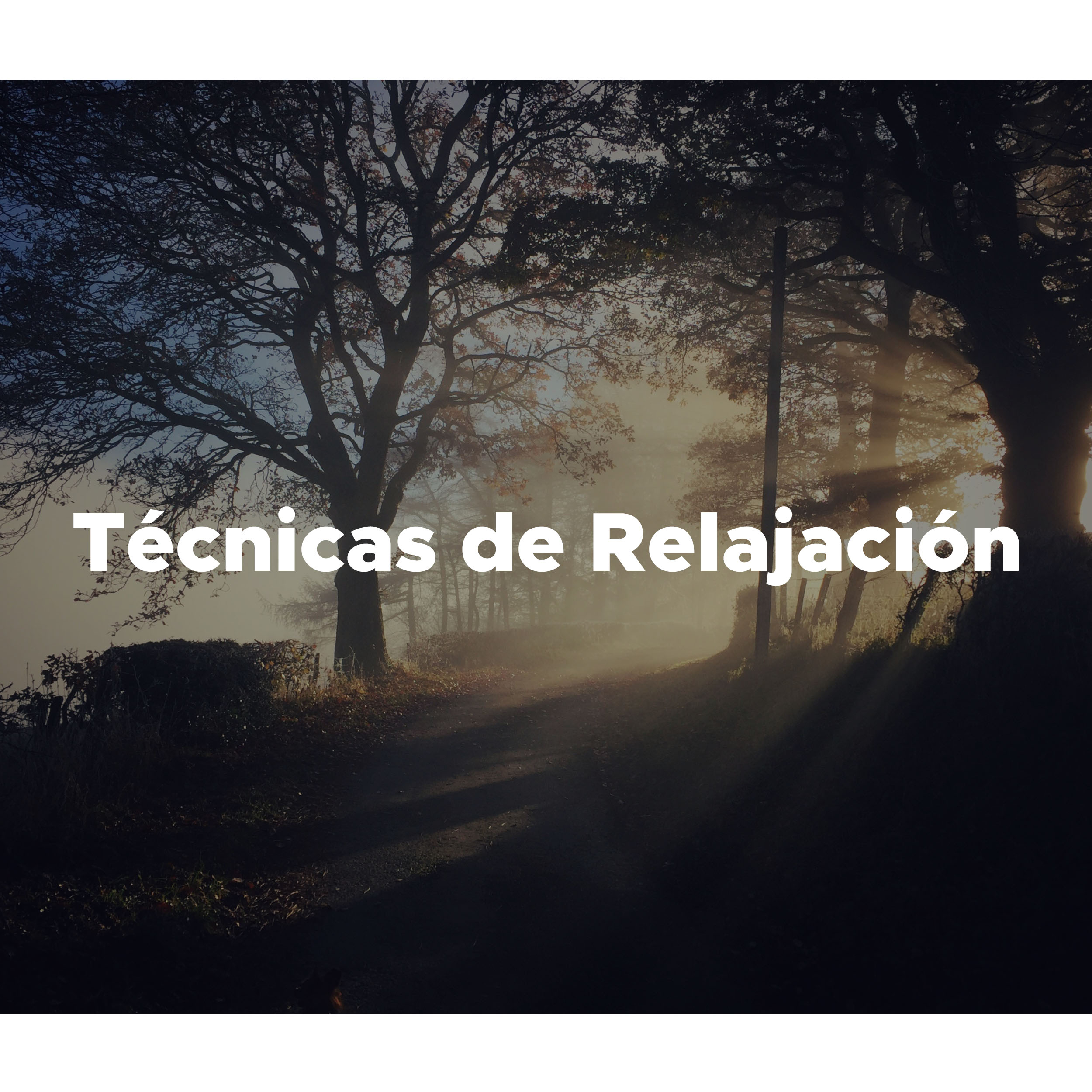 Tecnicas de Relajacion  Mu sica para conciliar el Sue o