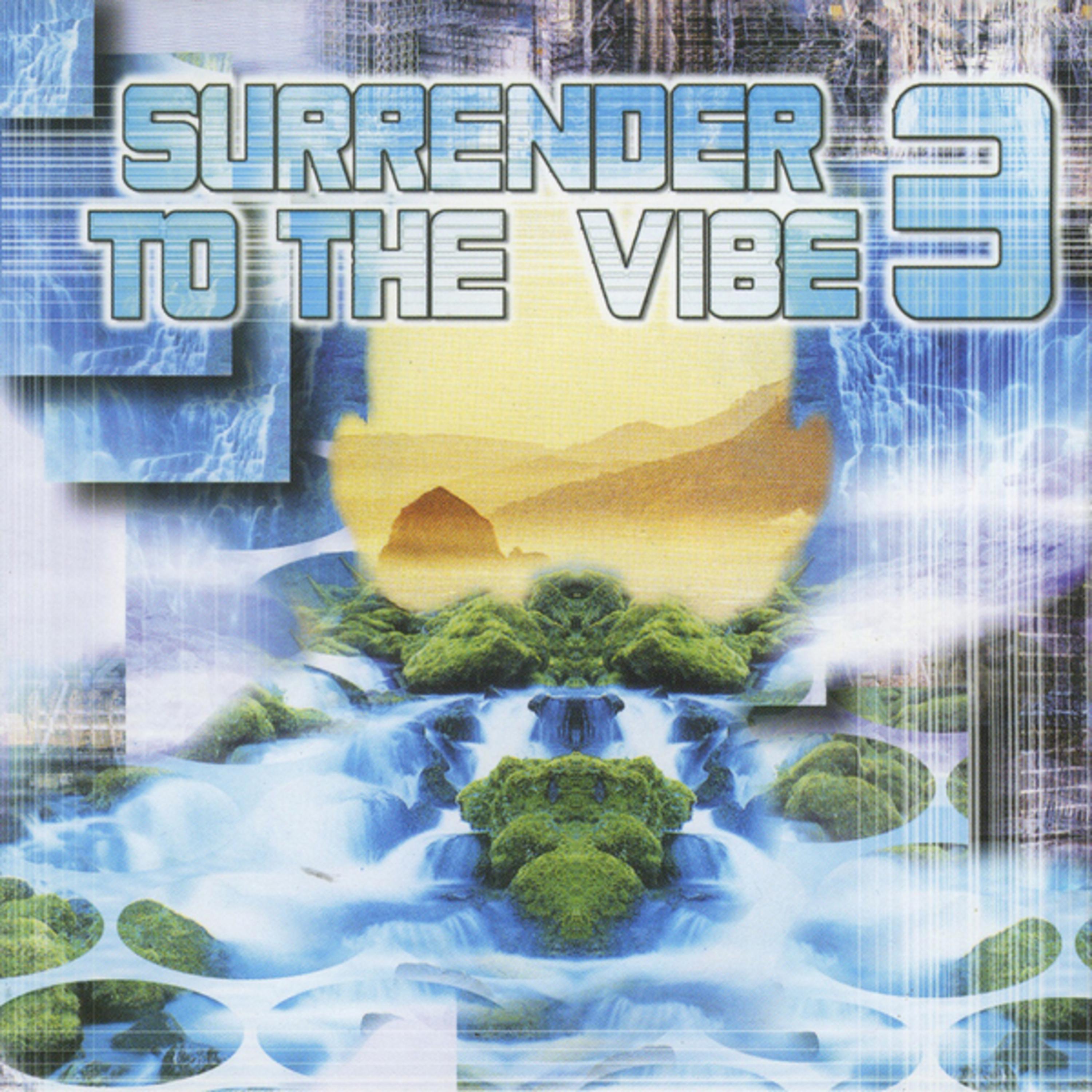 Surrender To The Vibe 3