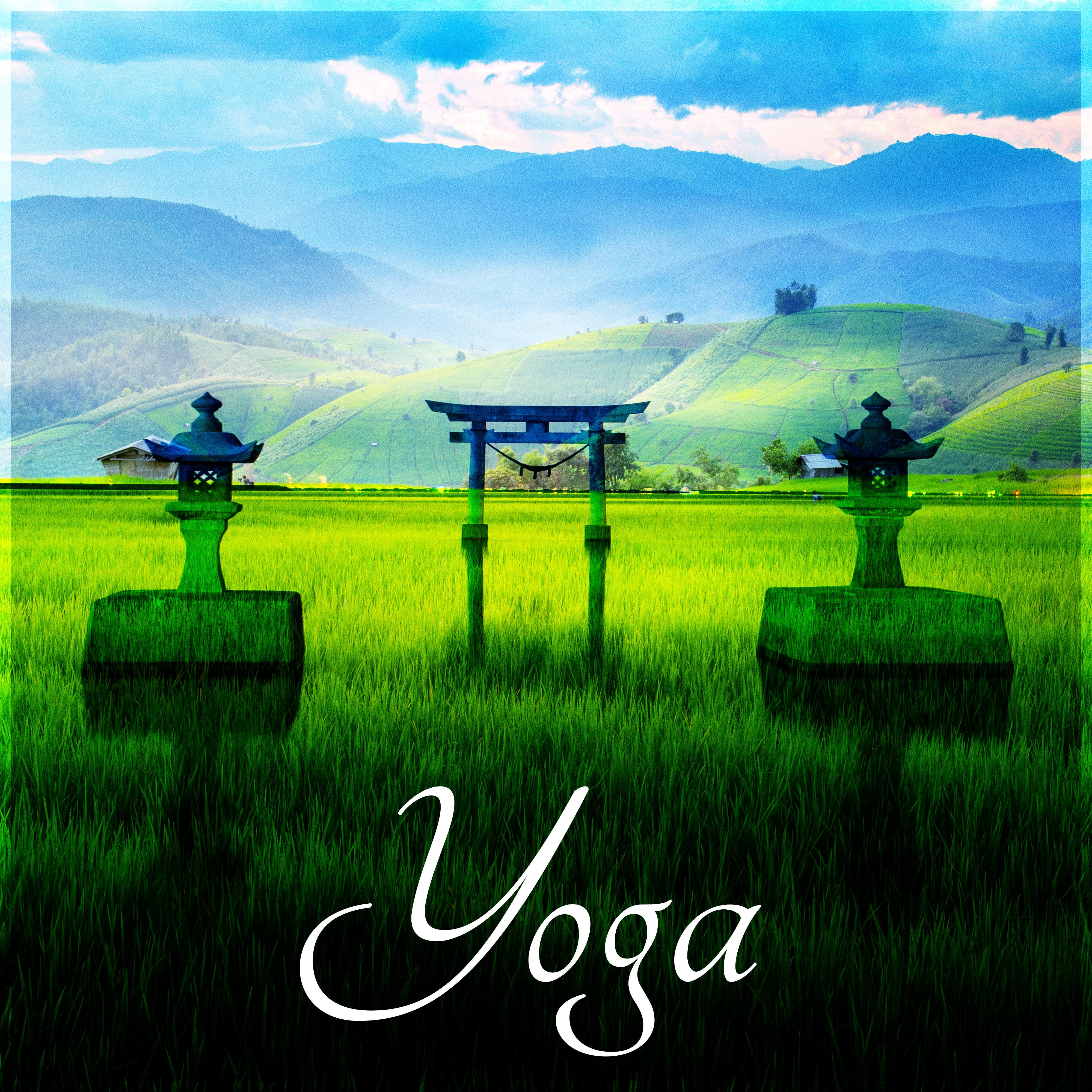 Yoga  Healing Reiki Music, Mindfulness Meditation, Calming Music, Peaceful Music
