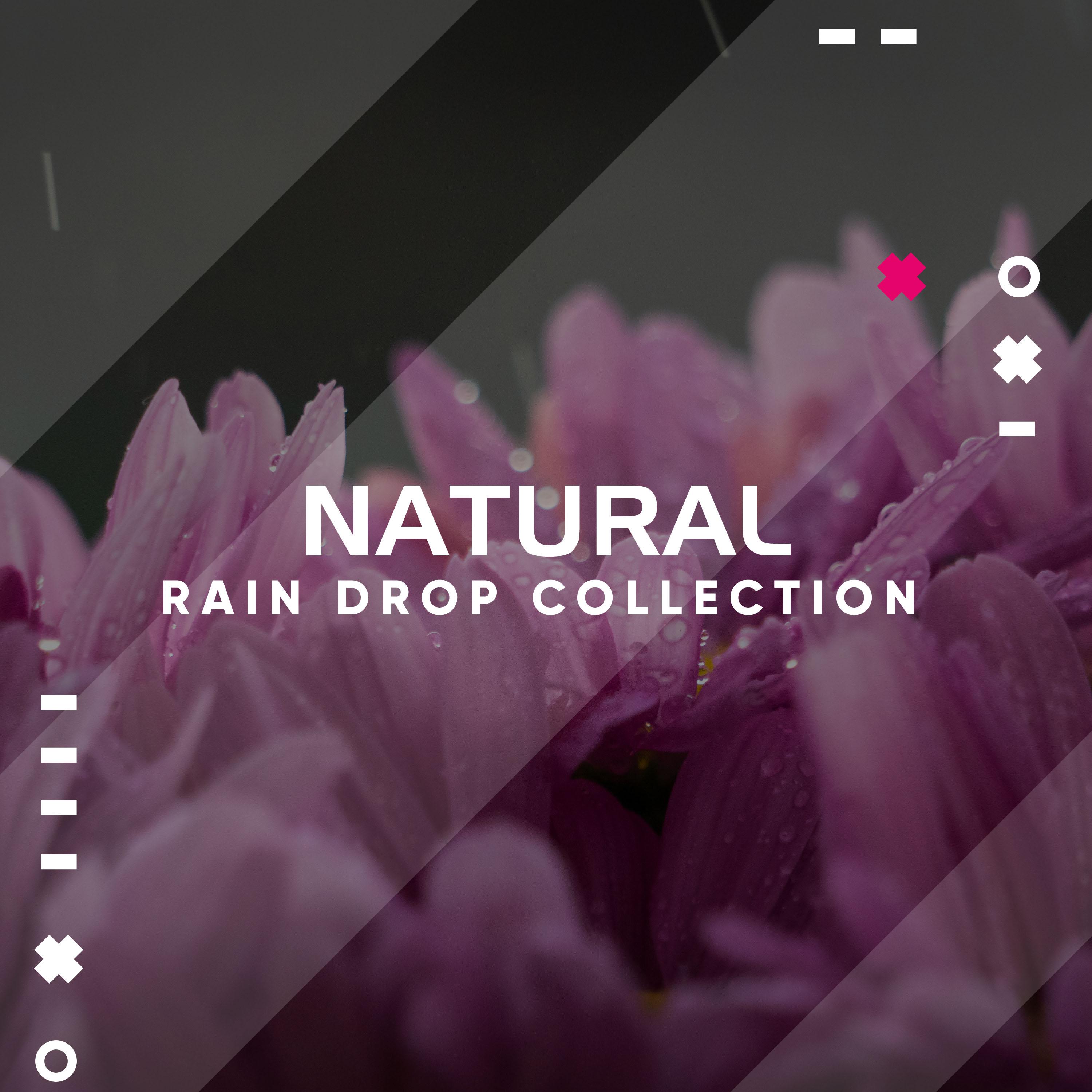 #18 Natural Rain Drop Collection for Relaxation and Ambience