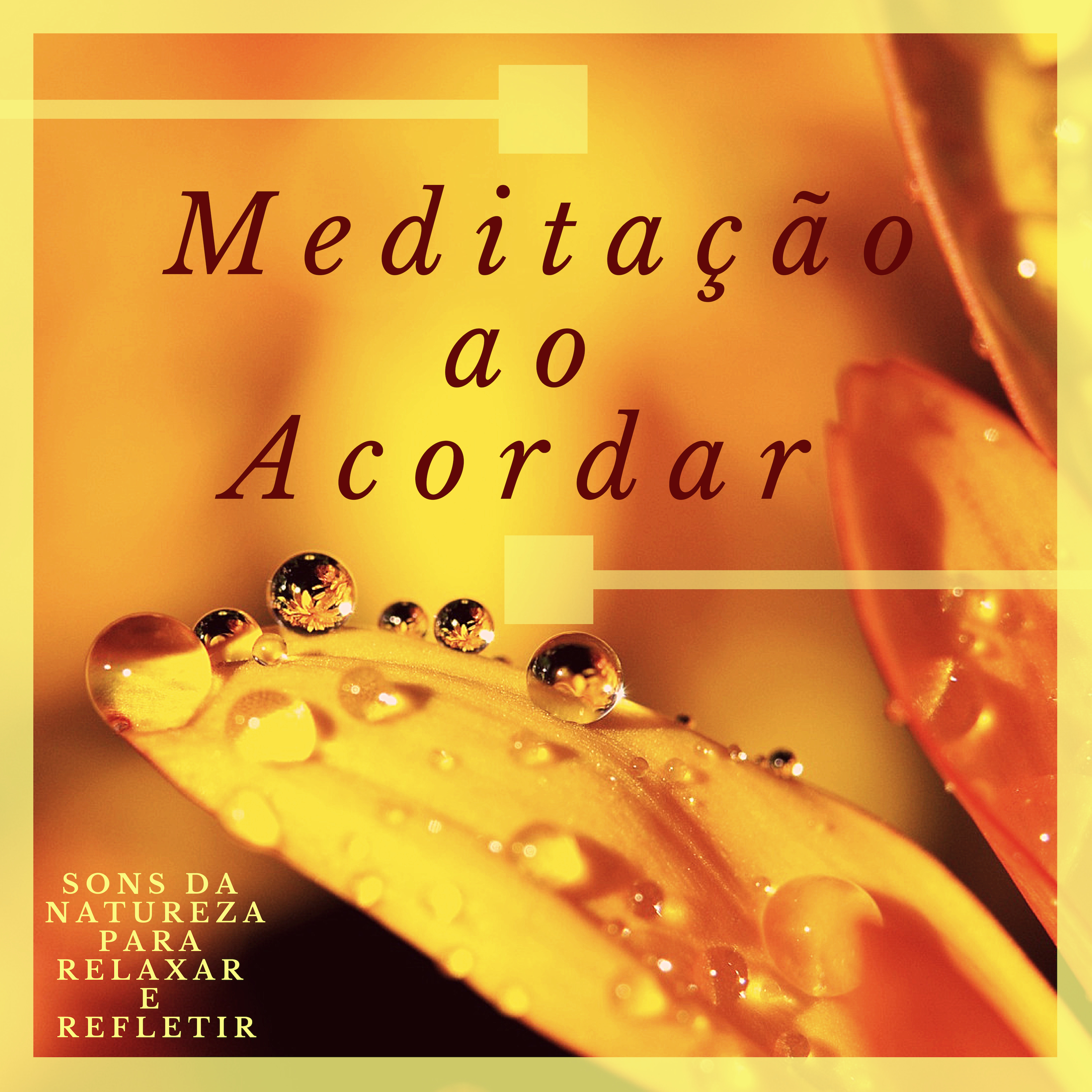 Medita o ao Acordar  Sons da Natureza para Relaxar e Refletir