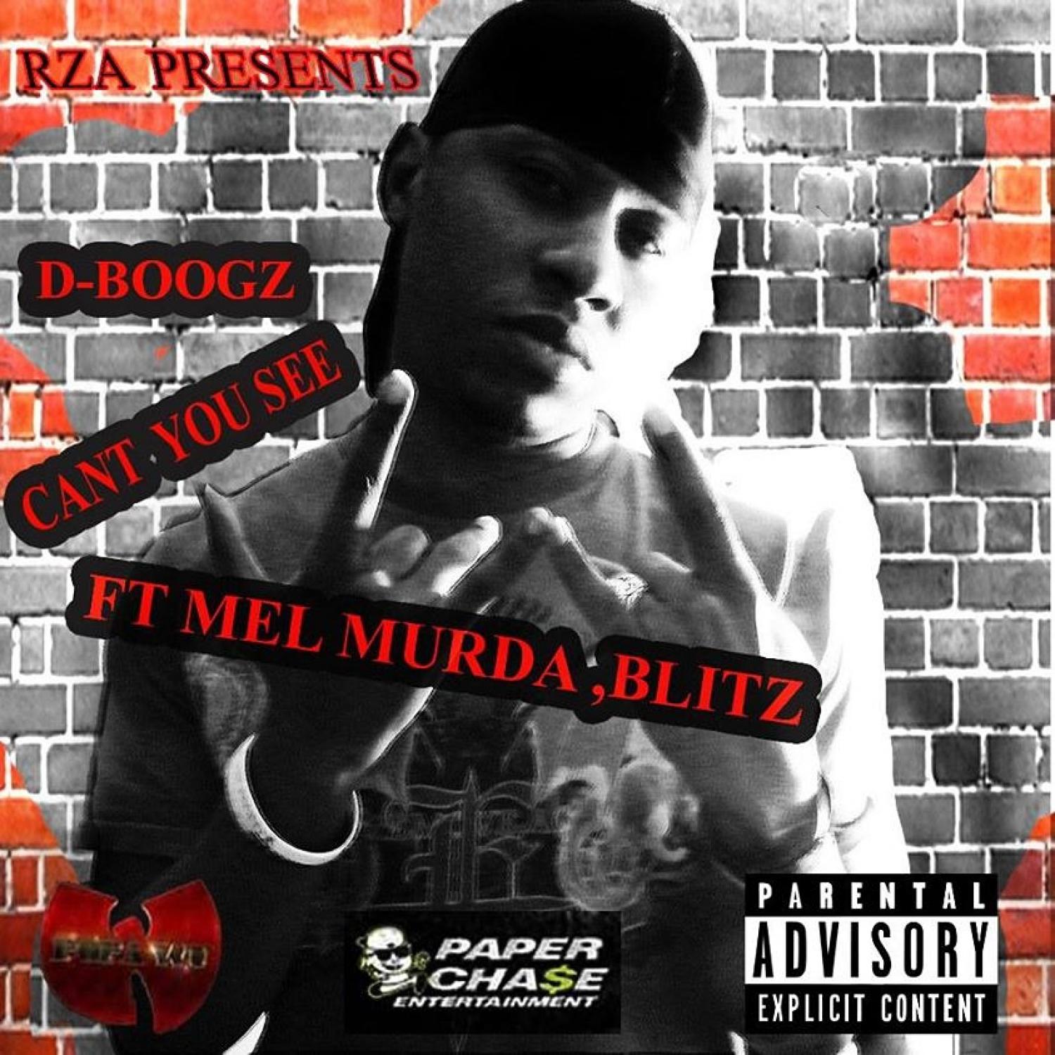Can&#039;t You See (feat. Mel Murda &amp; Blitz) - Single
