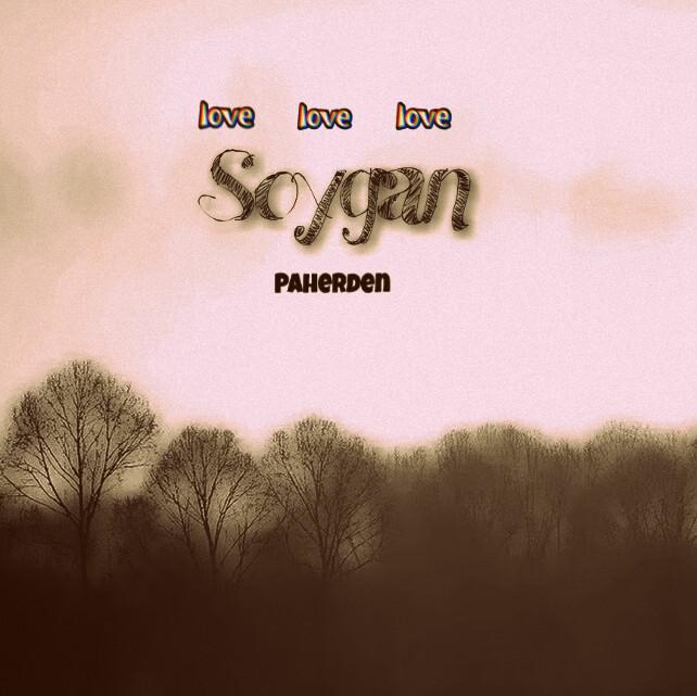 Soygan