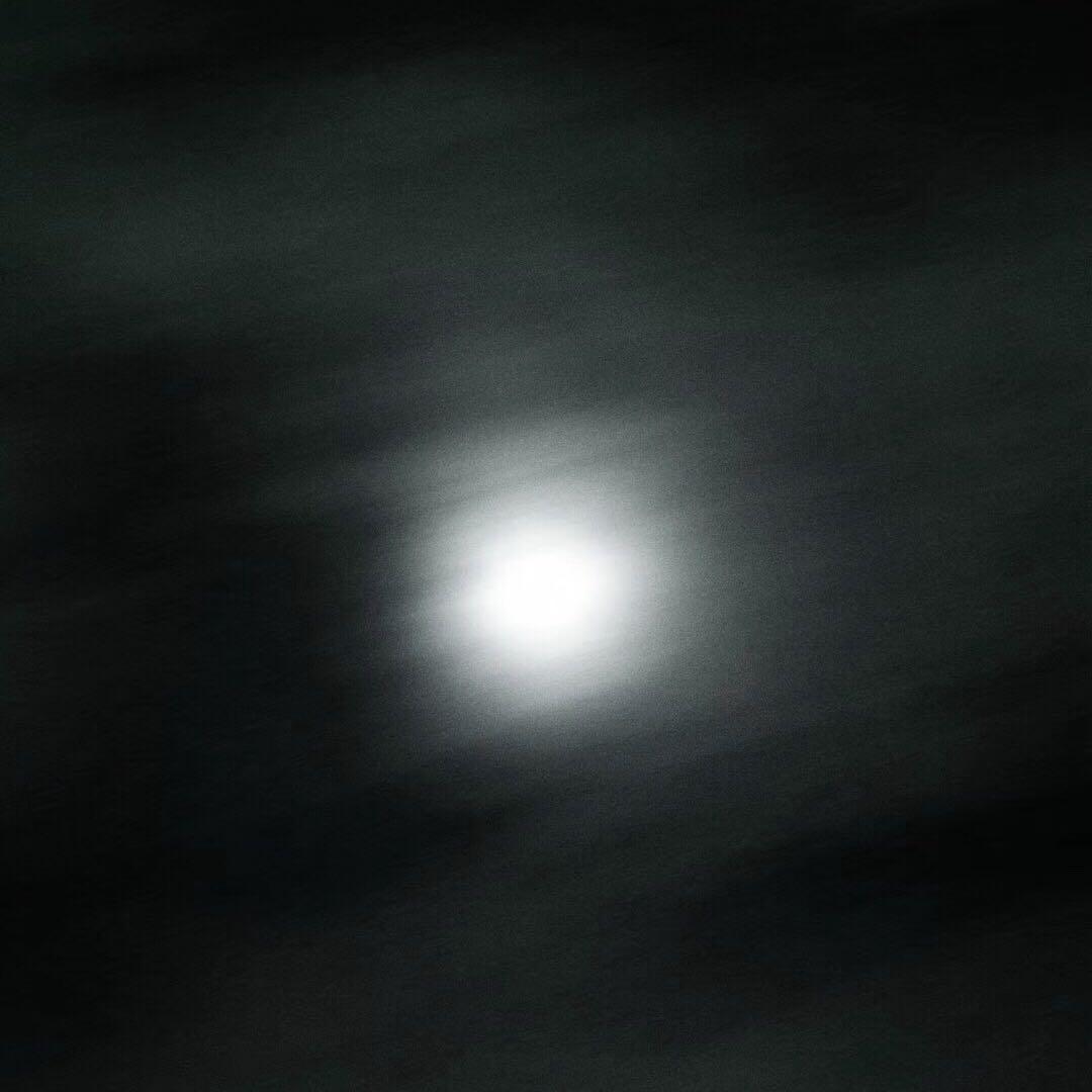 jin ye, wu ren huan ying a bo luo