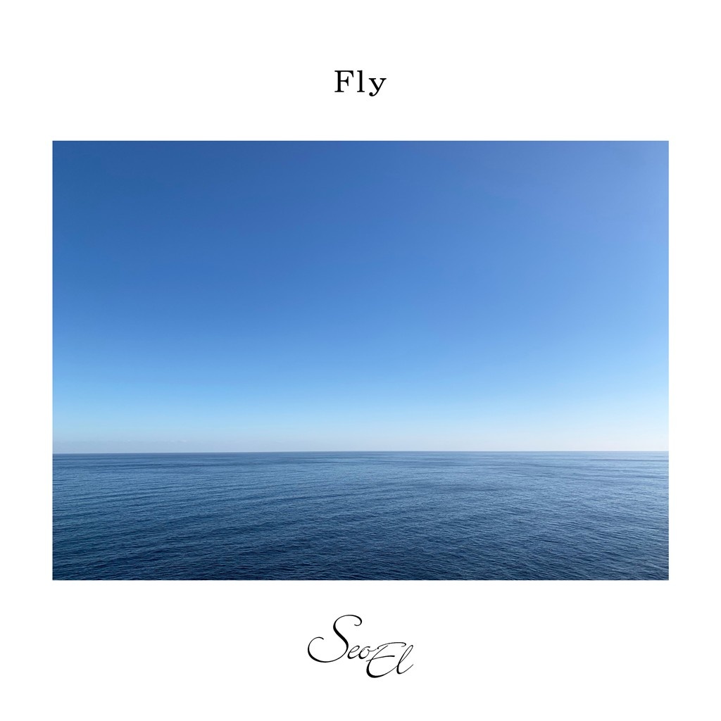 Fly