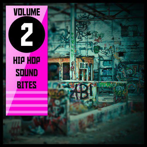 "Hip Hop Sound Bites,Vol.2"