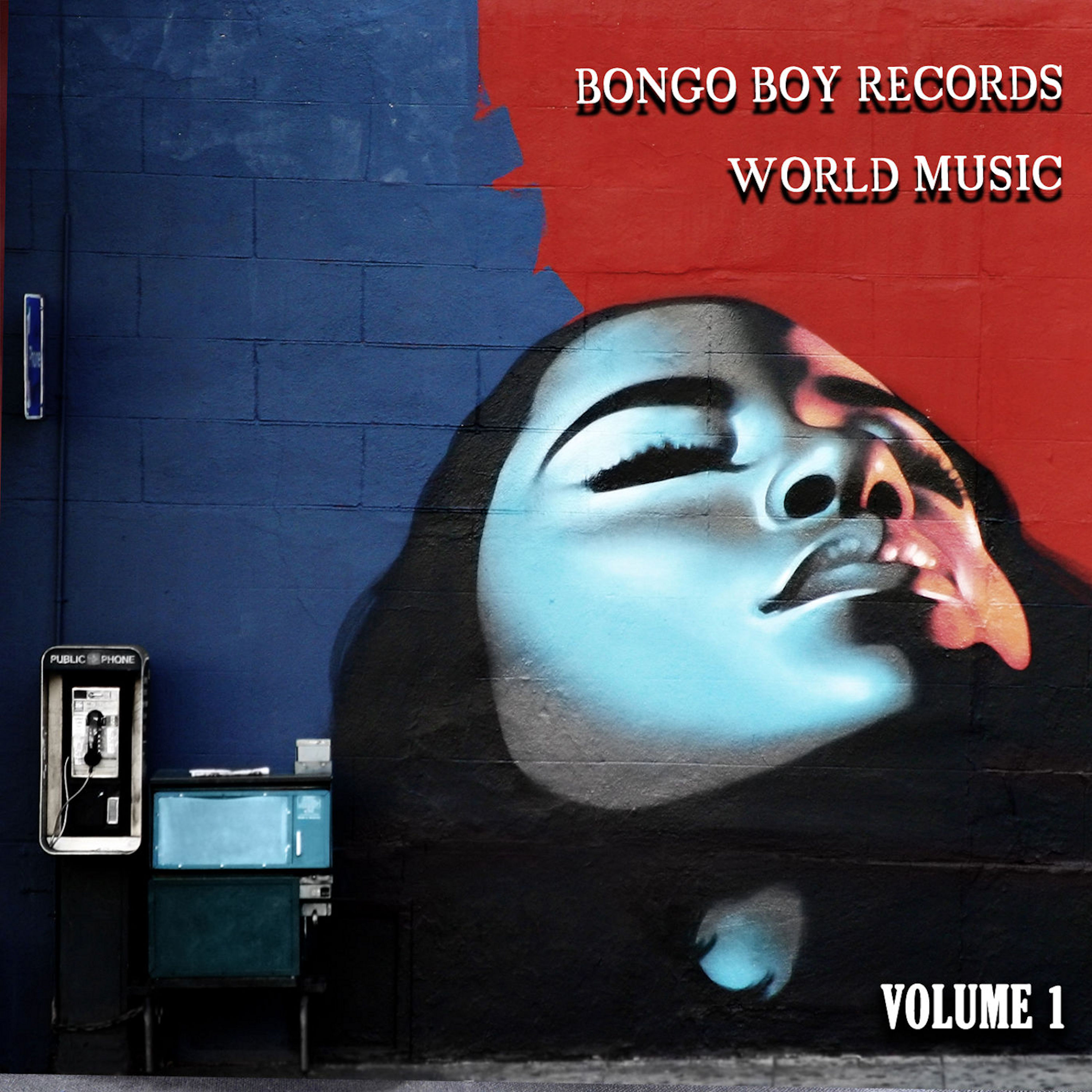 Bongo Boy Records World Music Volume One
