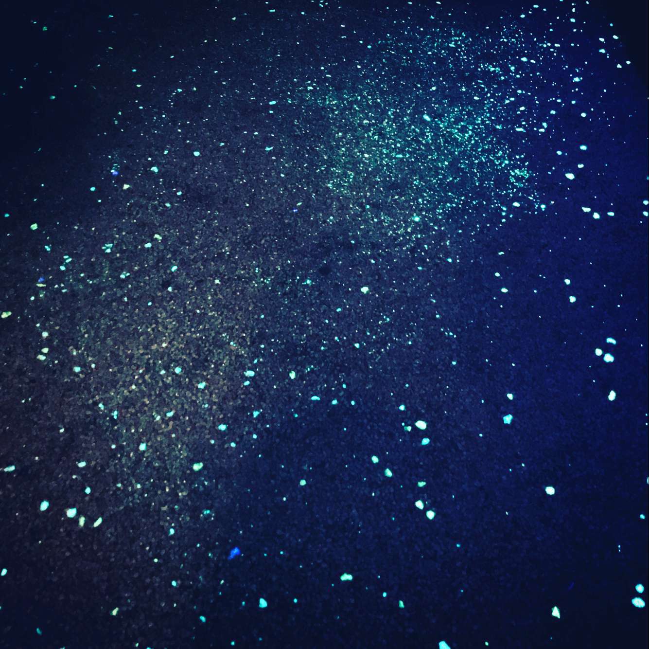 All  Alone  With  You