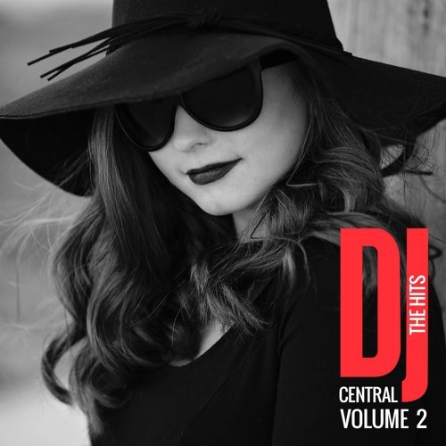 "DJ Central The Hits, Vol. 2"