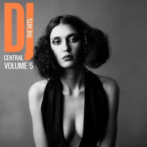 "DJ Central The Hits, Vol. 5"
