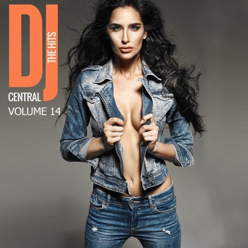 "DJ Central - The Hits, Vol. 14"