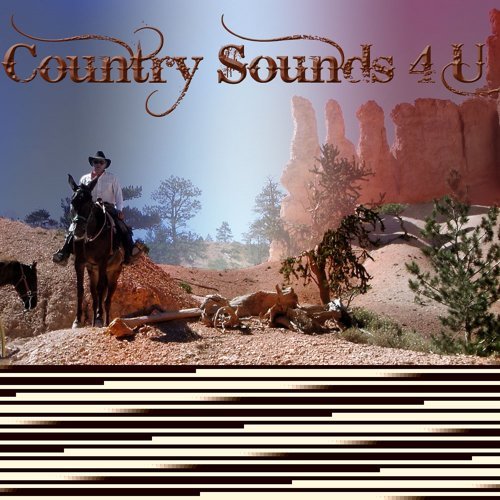 "Country Sounds 4 U, Vol. 3"