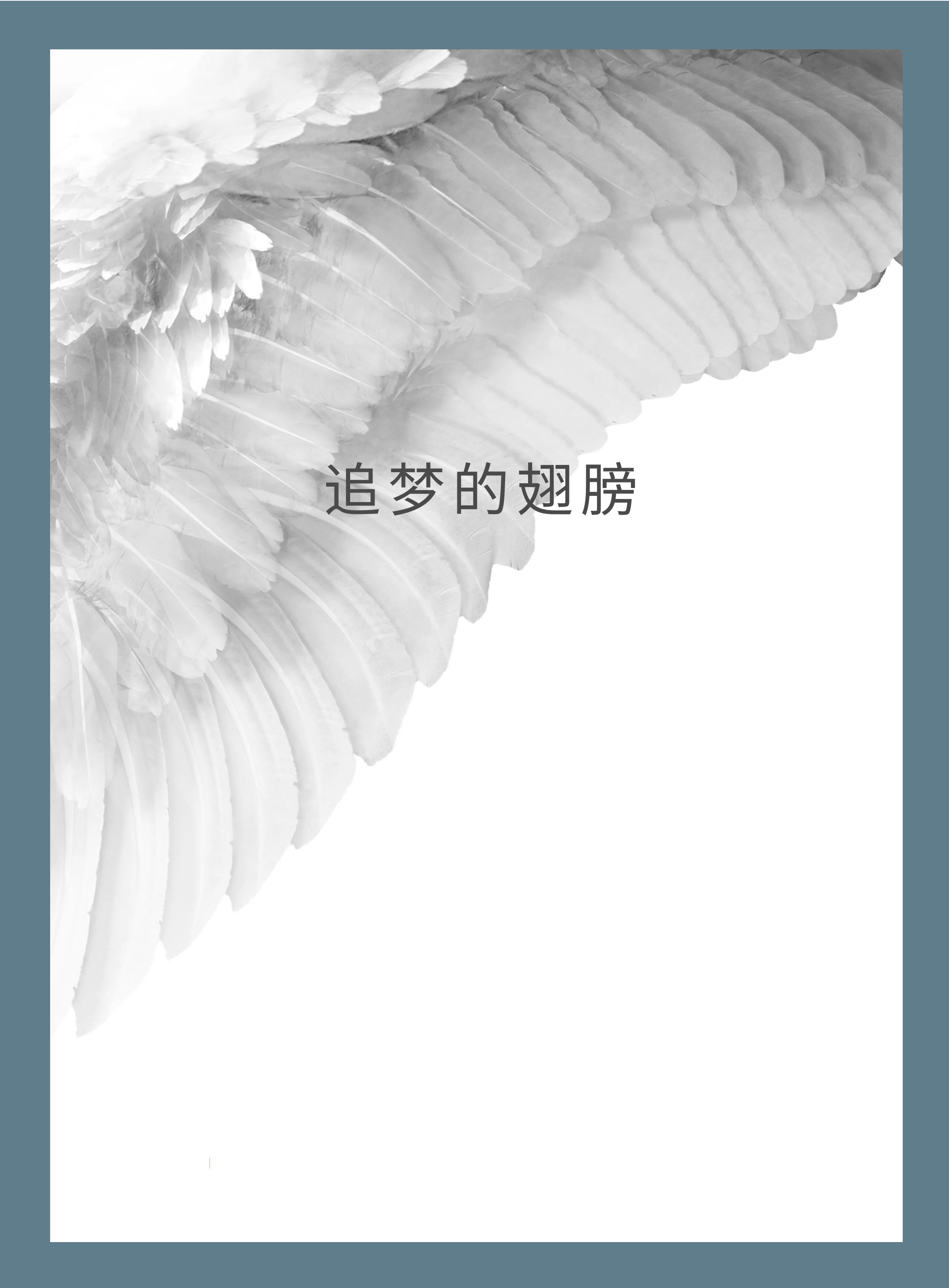 zhui meng de chi bang