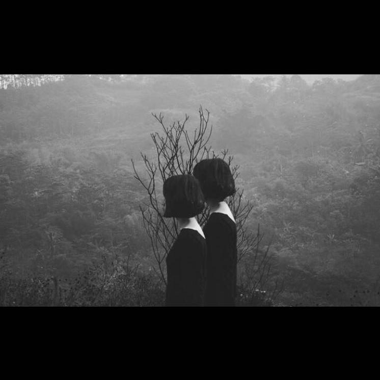 bu xiang ting na me duo fei hua