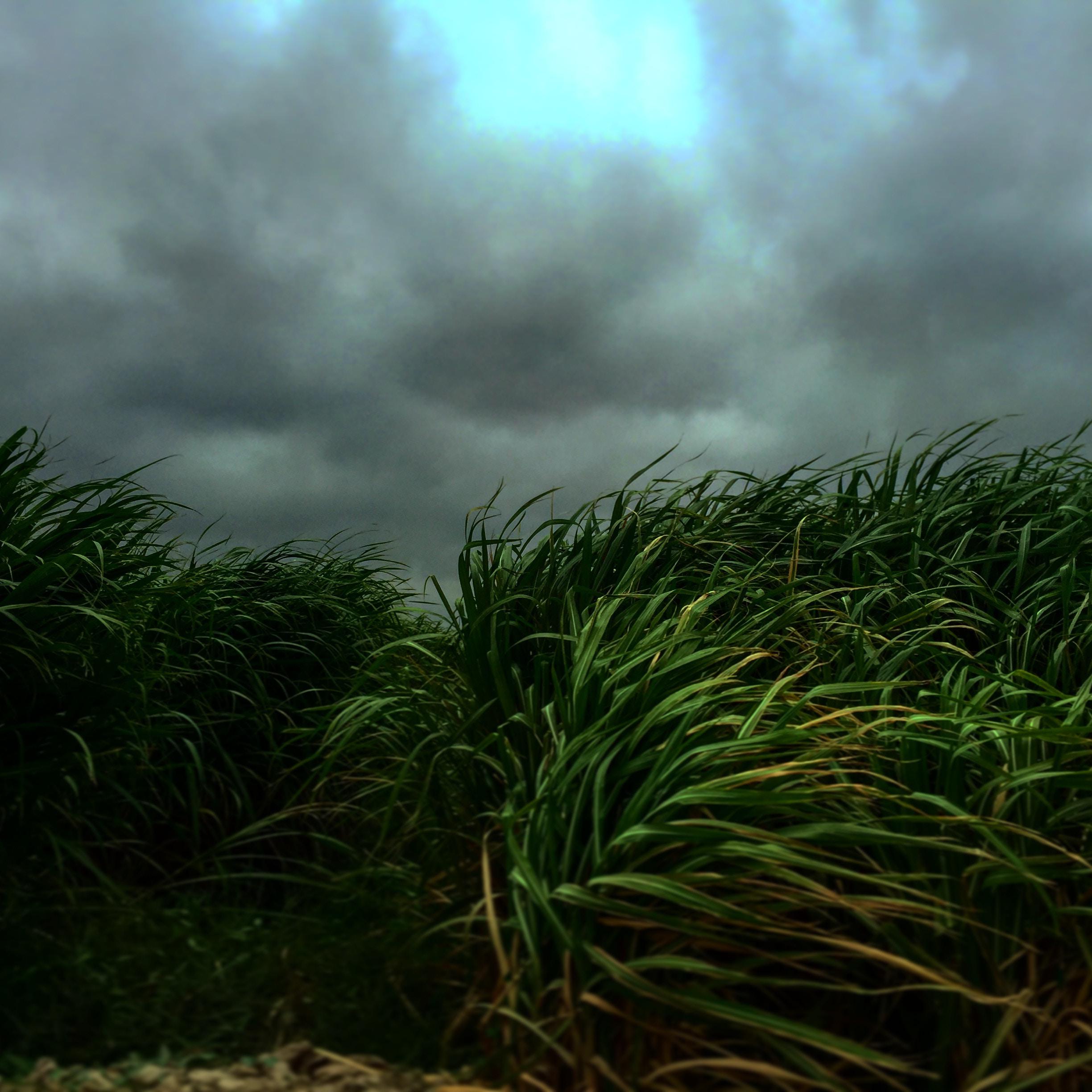 wo ai de ren bu ai wo