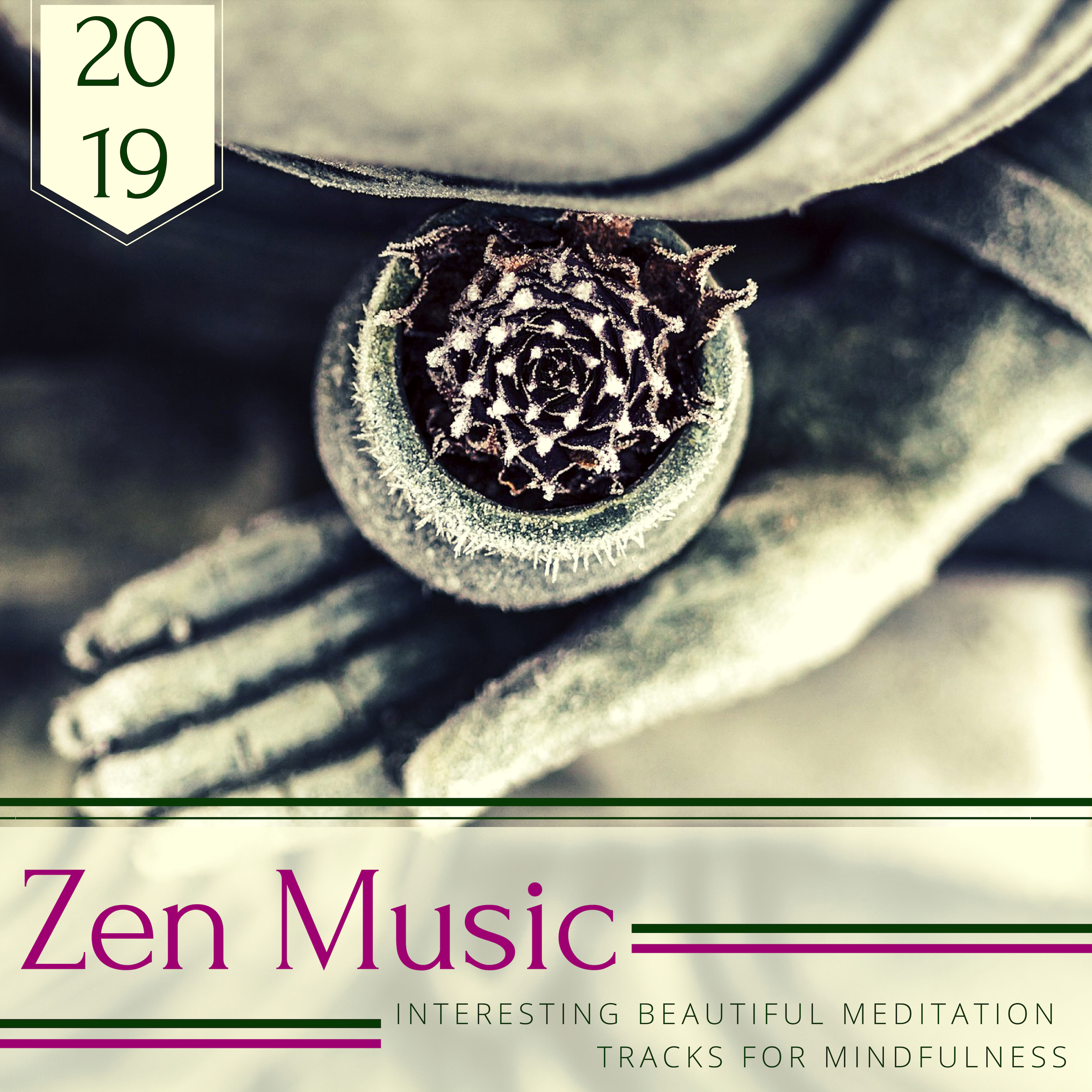 Interesting Beautiful Meditation Track