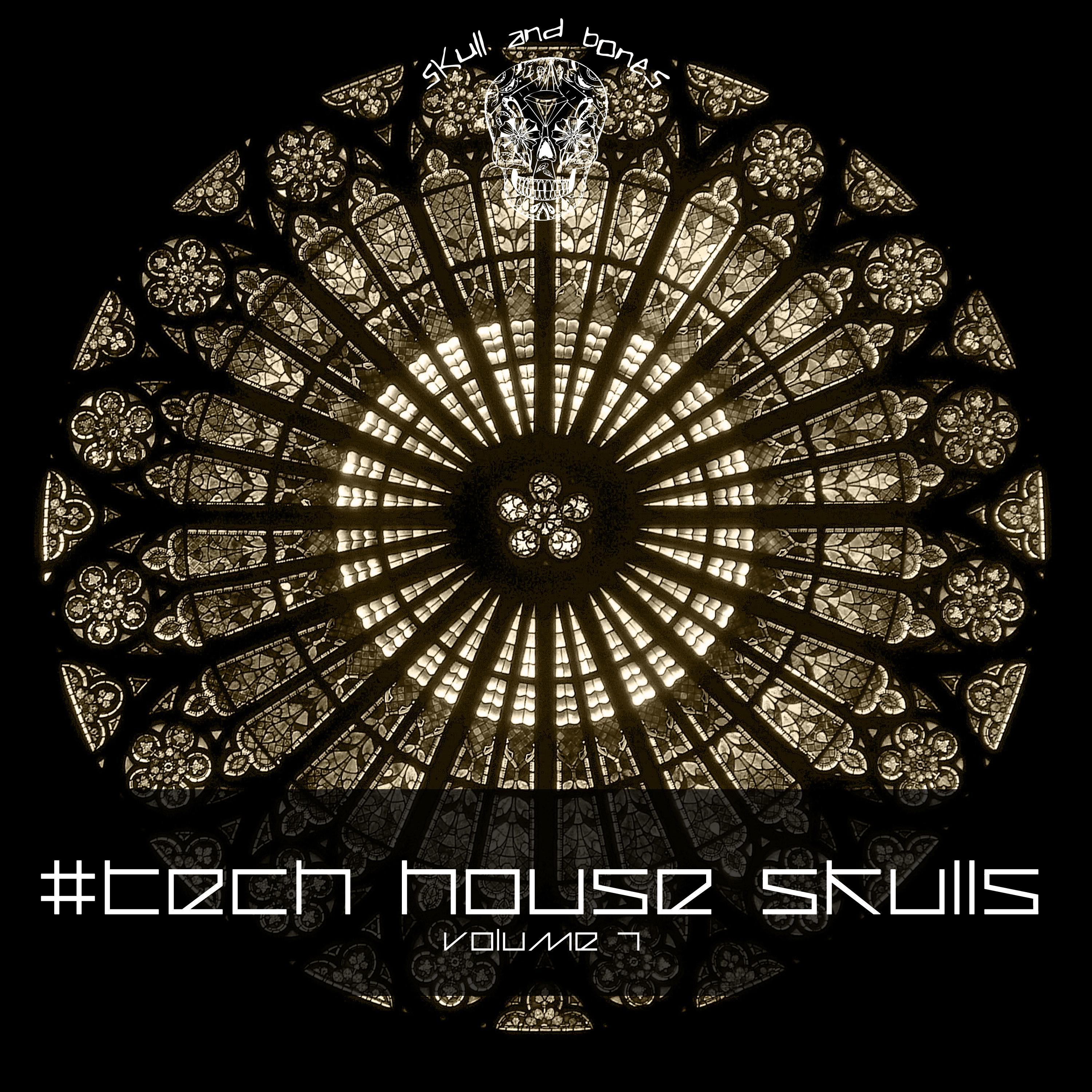 Tech House Skulls, Vol. 7