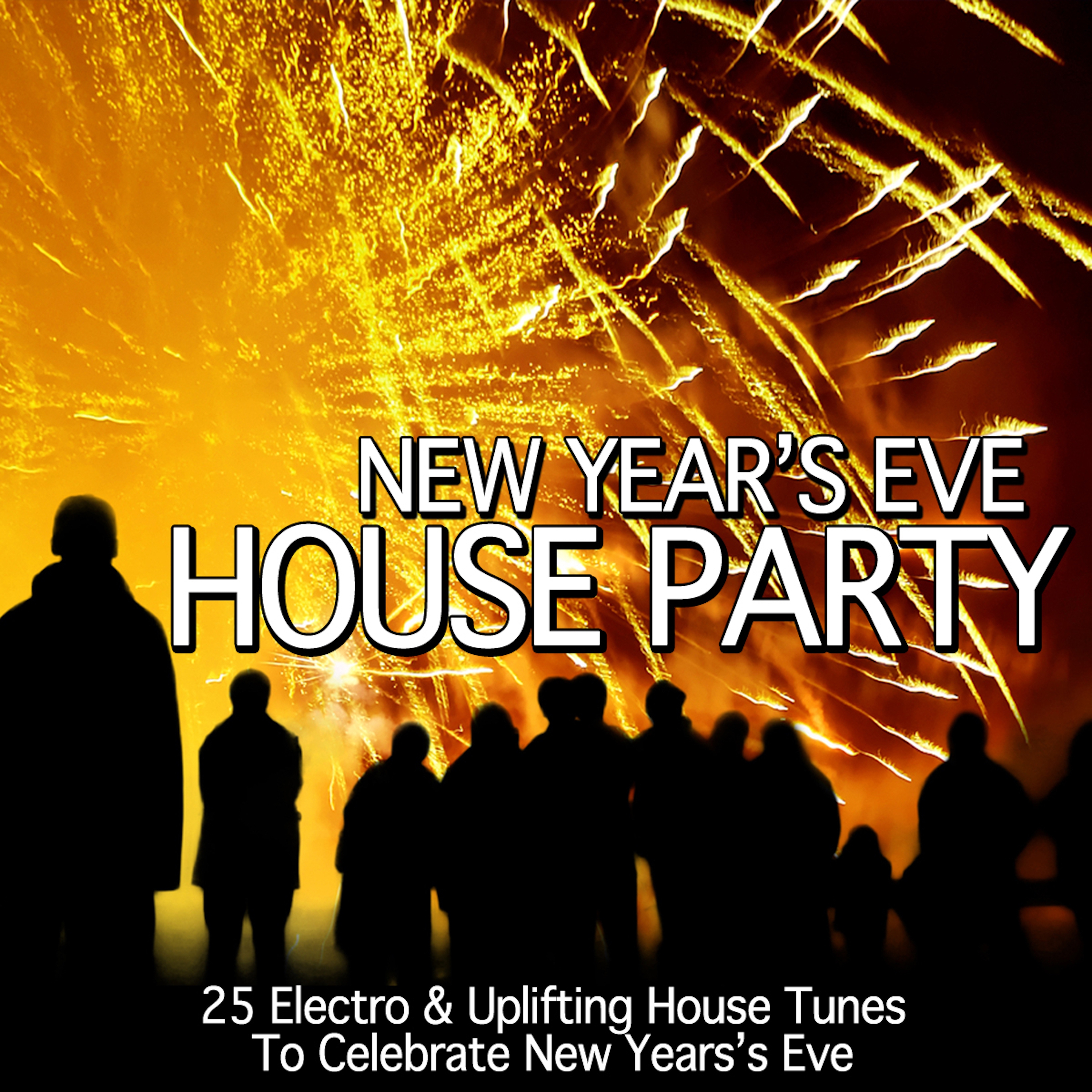 New Year's Eve House Party
