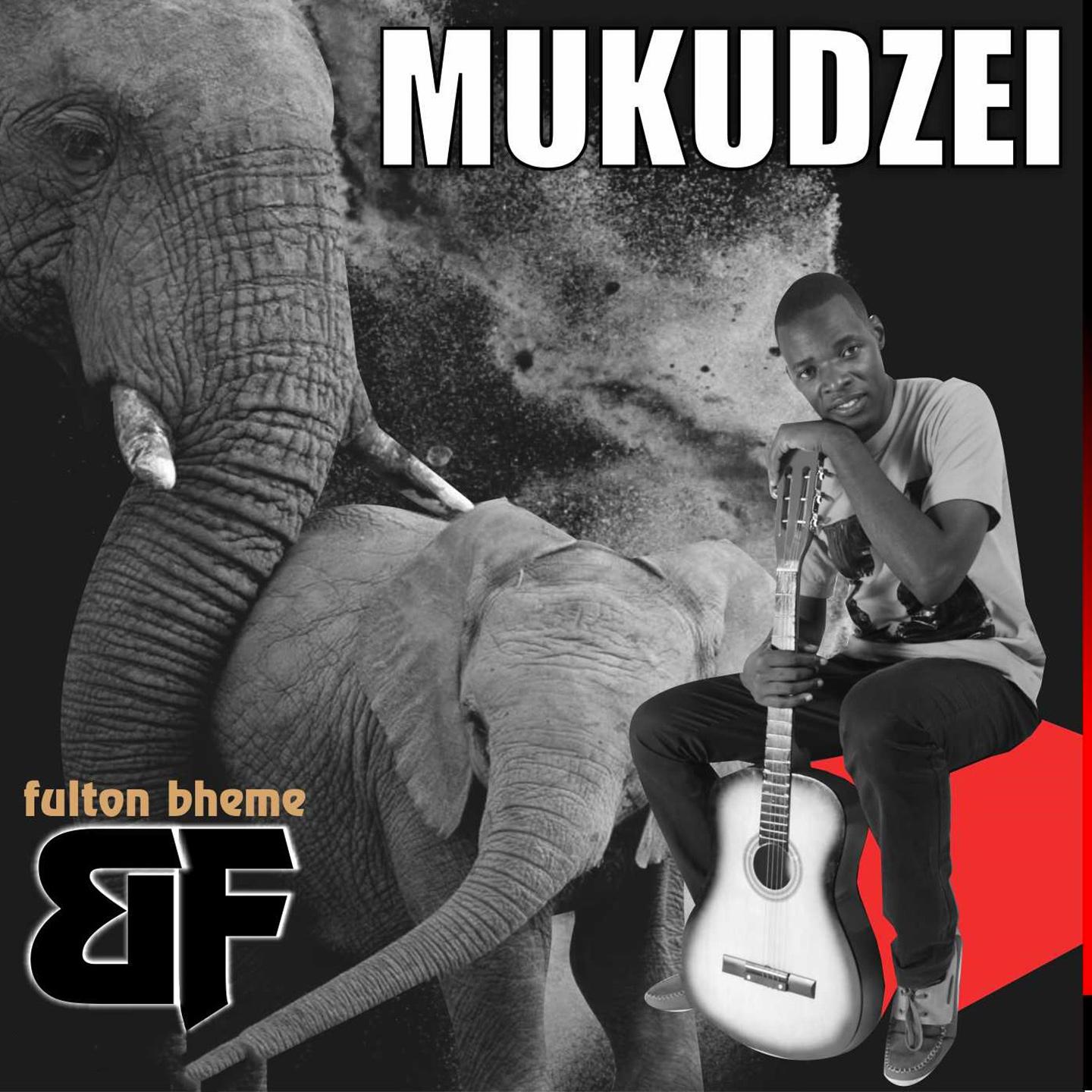 Mukudzei