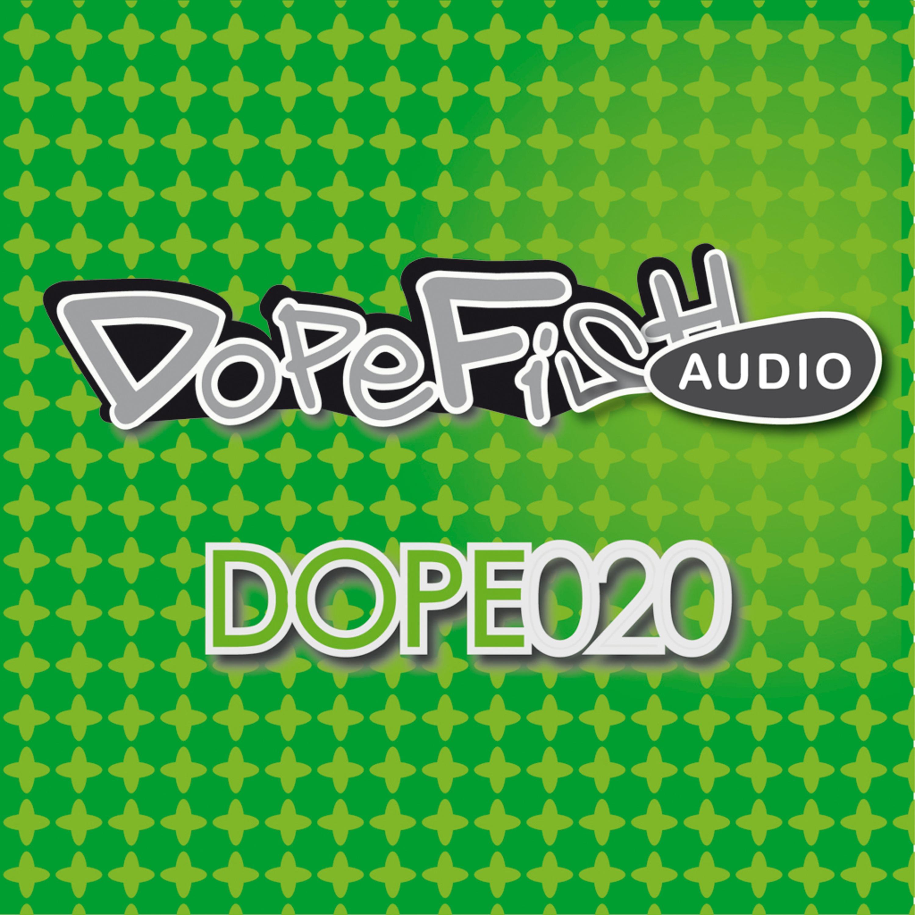 Police in Helicopter