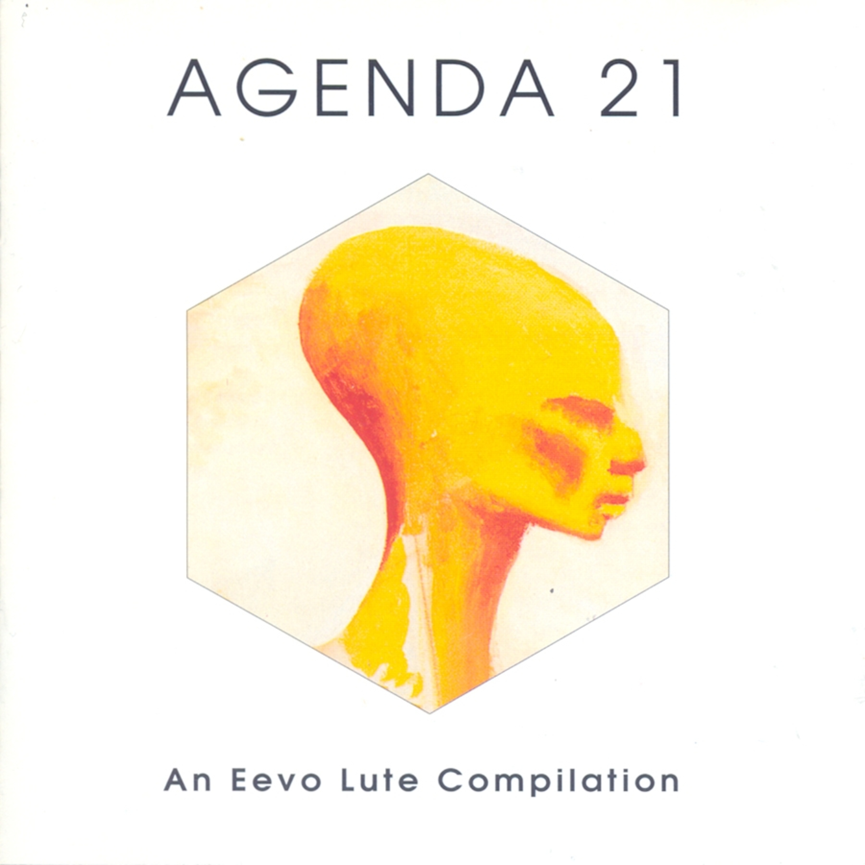 Agenda 21 An Eevo Lute Compilation