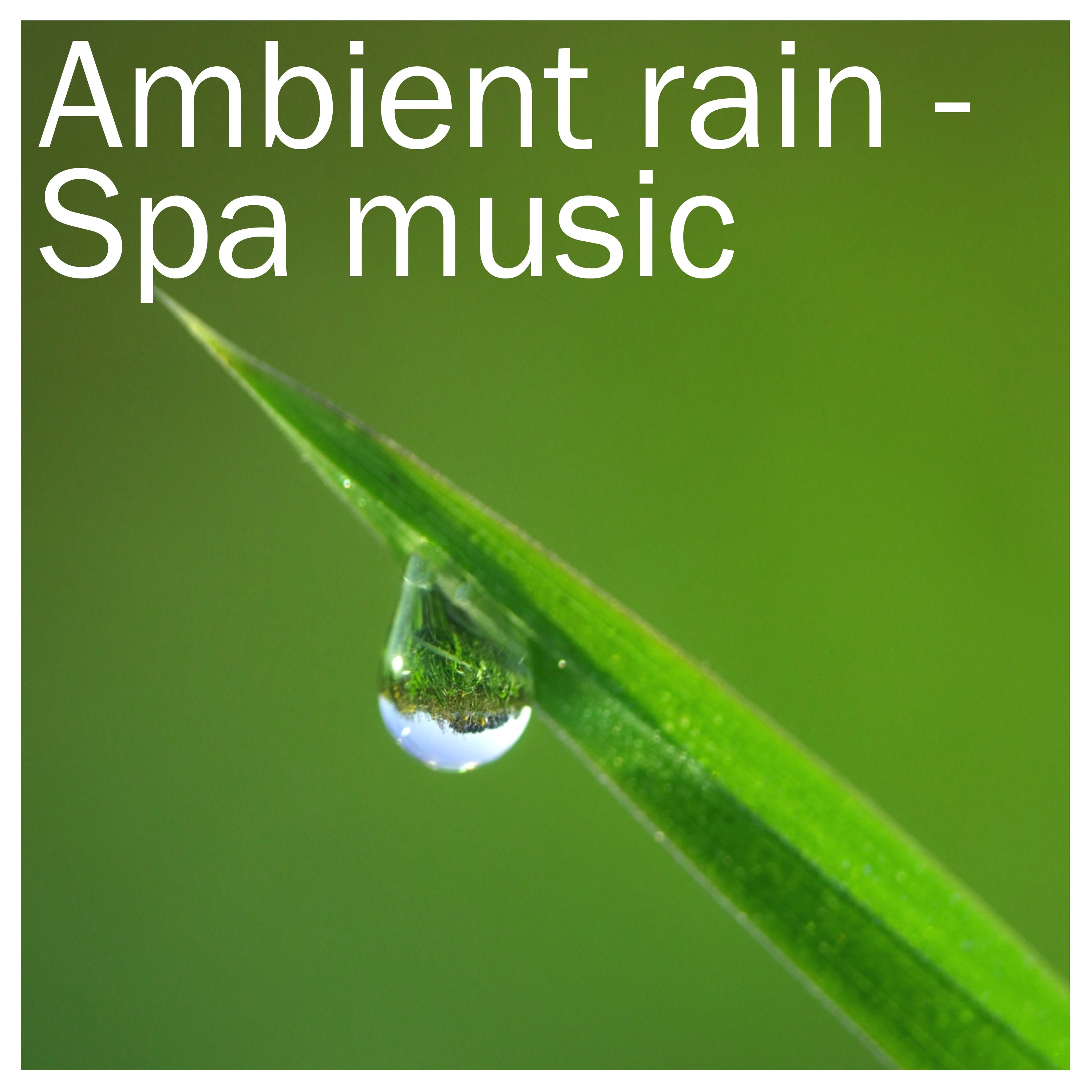 15 Spa Rain Sounds: Tranquility, Serenity, Mindfulness, Nature, Sleep,Relaxation, Meditation