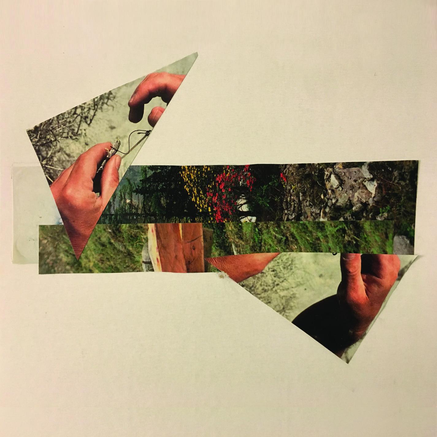 Weinberg  Legui a  Walter