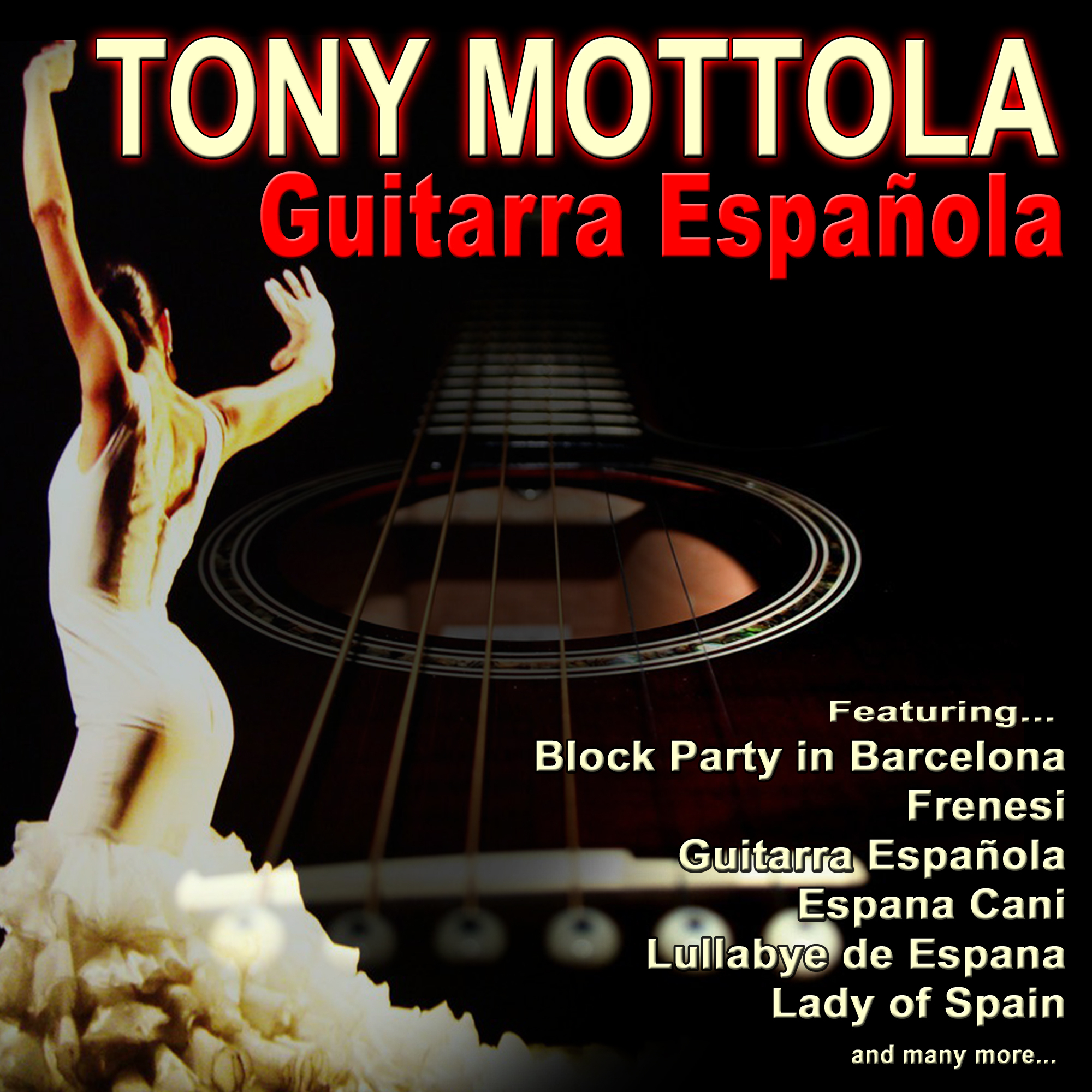 Guitarra Espa ola