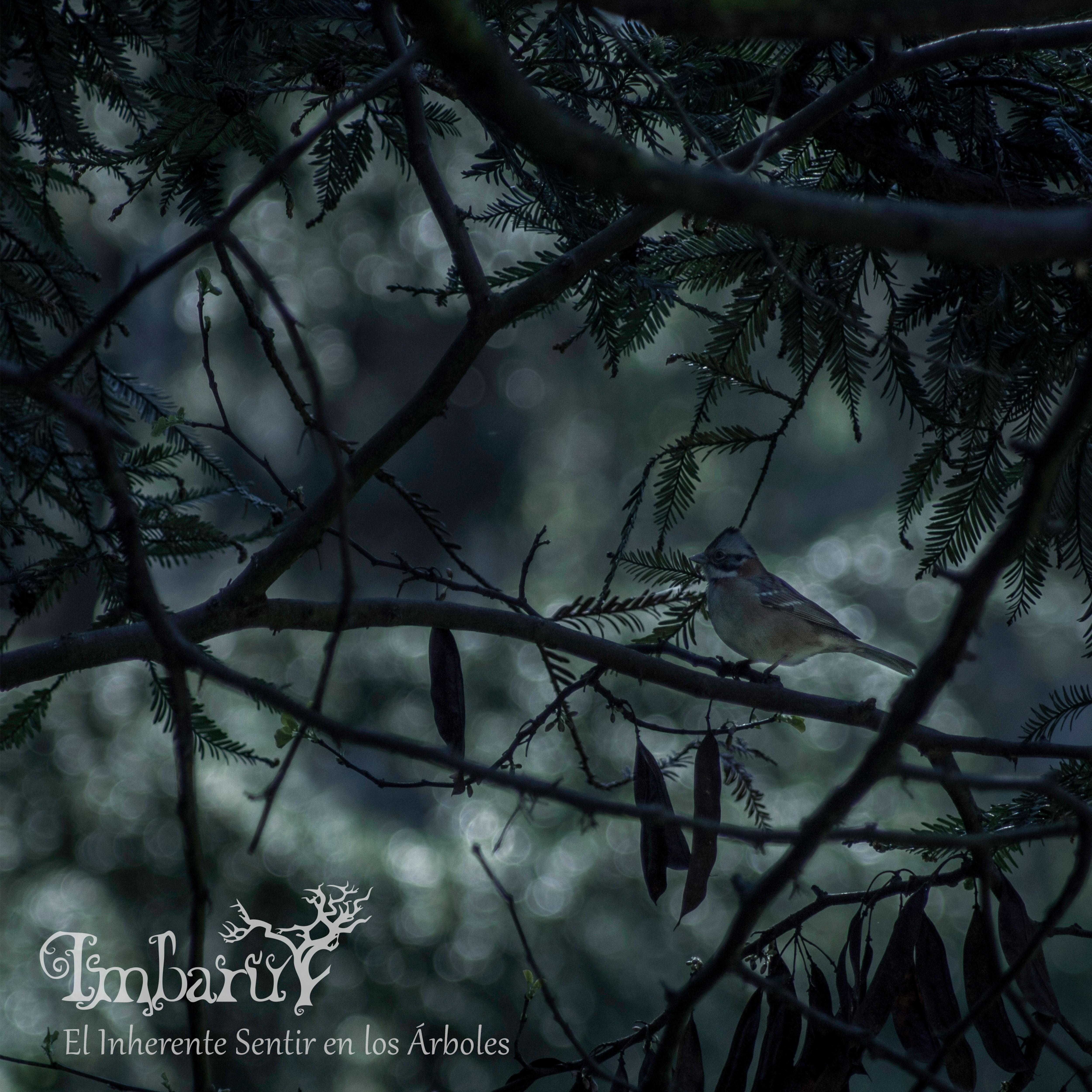 El Inherente Sentir En Los a rboles