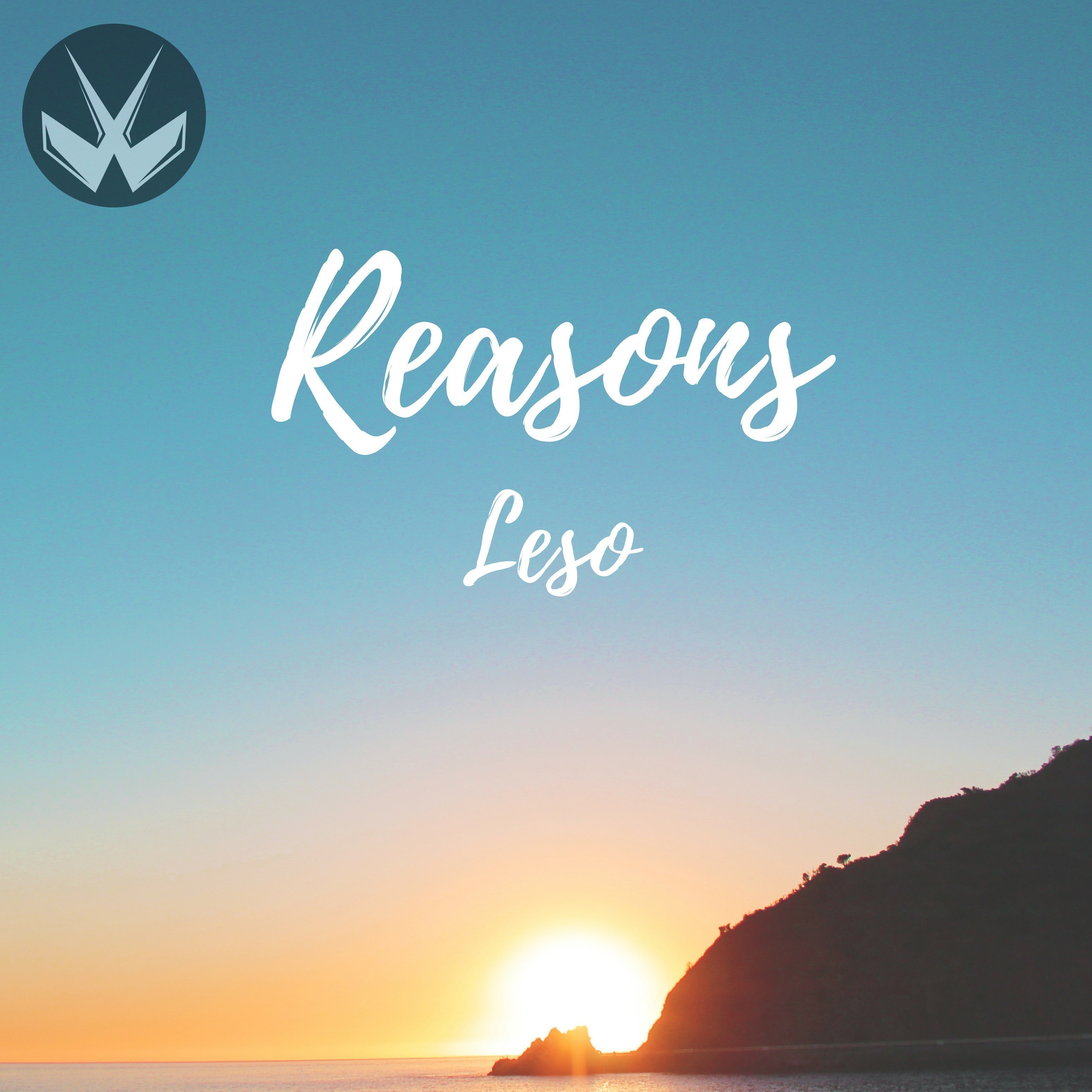 Reasons