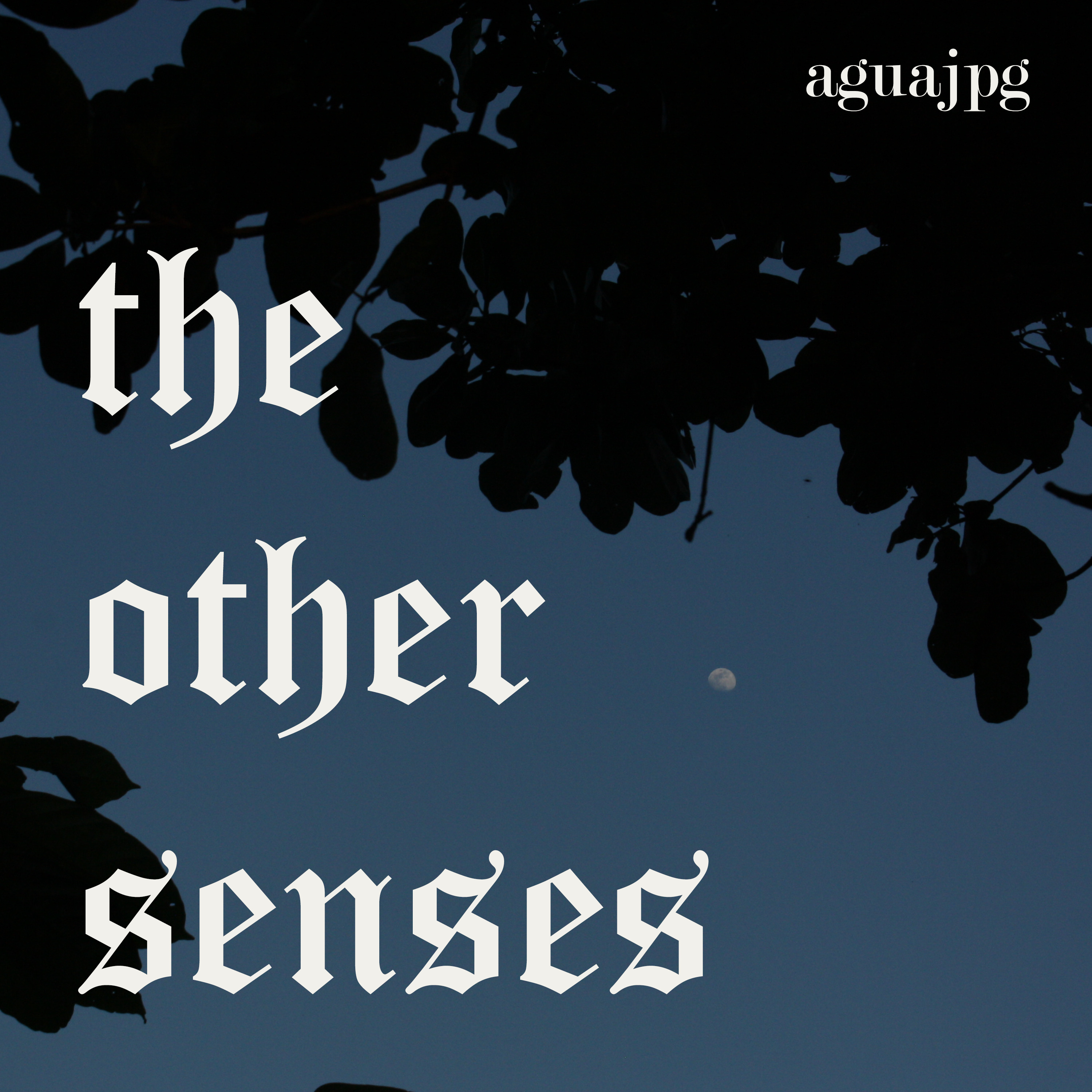 Shoo Fly Pie & Apple Pan Dowdy