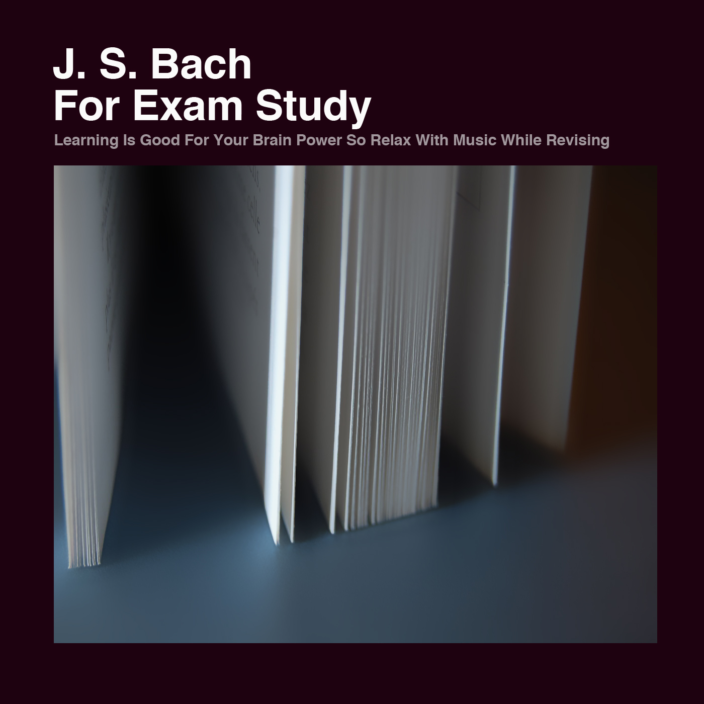 Brandenburg Concerto No. 6 in B flat, BMV 1051: II. Adagio ma non tanto